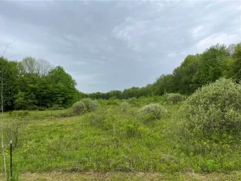 Property at Hong Kong Road, Albion, NY 13142