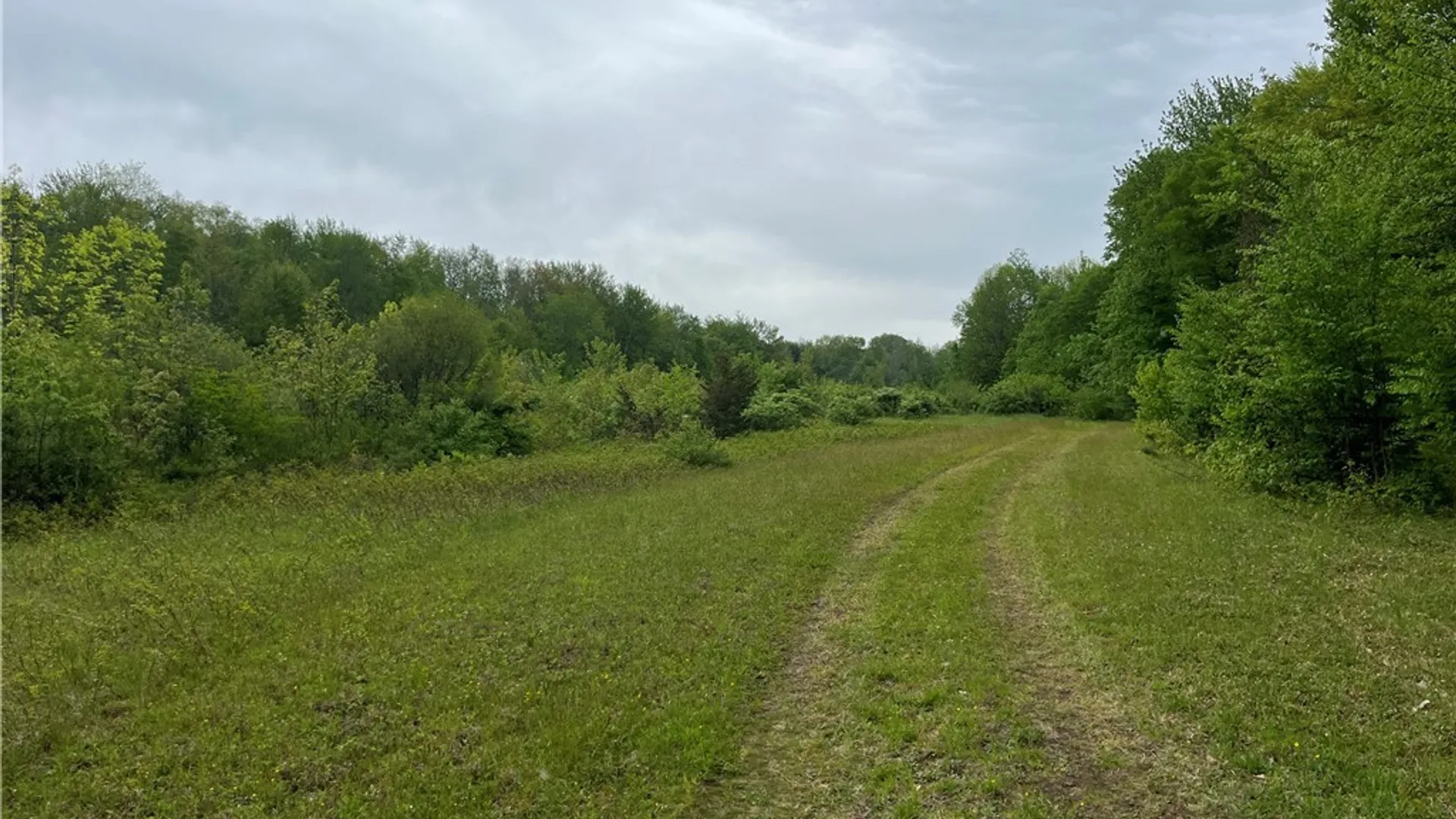 Property at Hong Kong Road, Albion, NY 13142 3