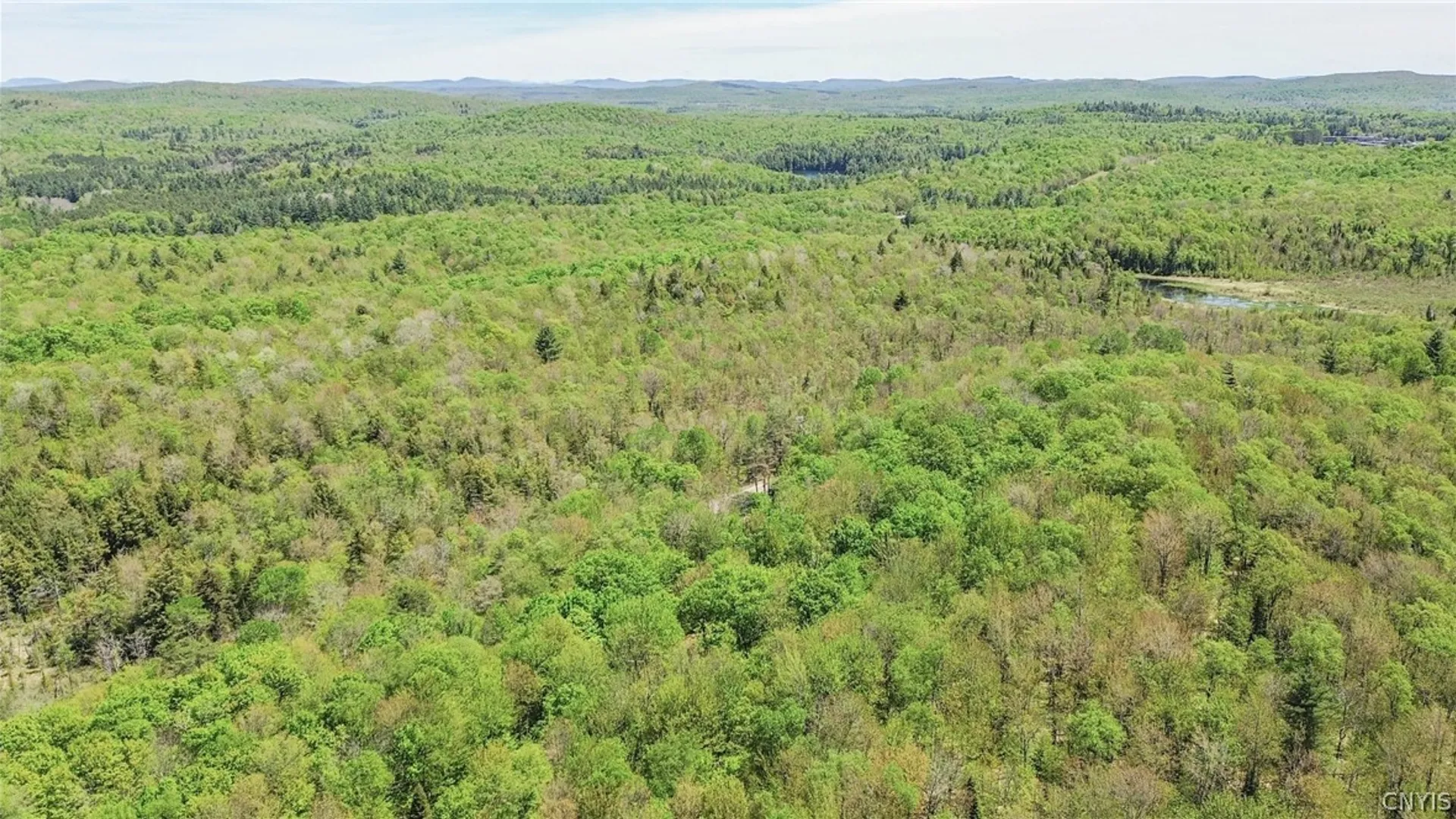 Property at 796 Oswegatchie Trail Road, Oswegatchie, NY 13690 24