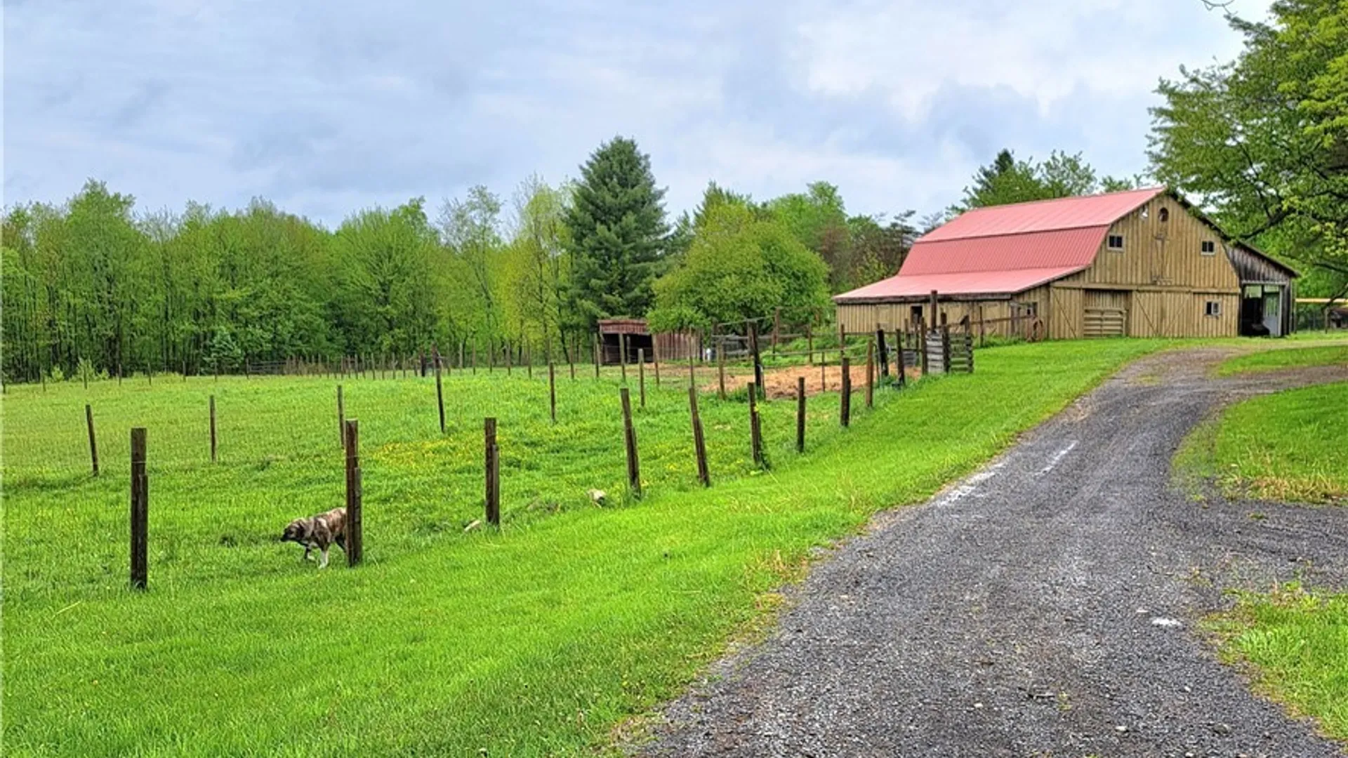 Property at 1251 Metott Road, Florence, NY 13316 13