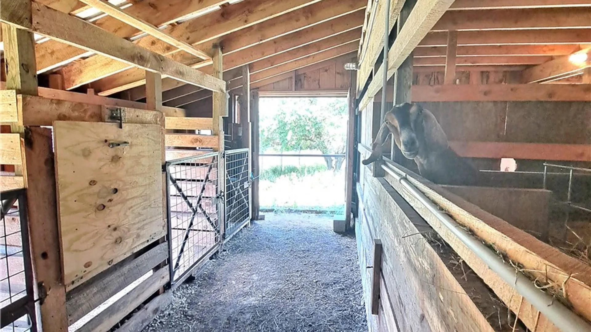 Property at 1251 Metott Road, Florence, NY 13316 8