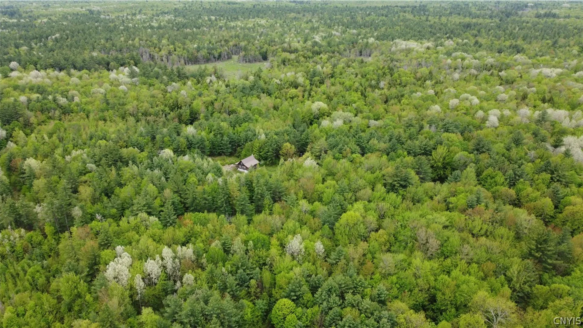 Property at 00 Cotton Road, Croghan, NY 13327 10