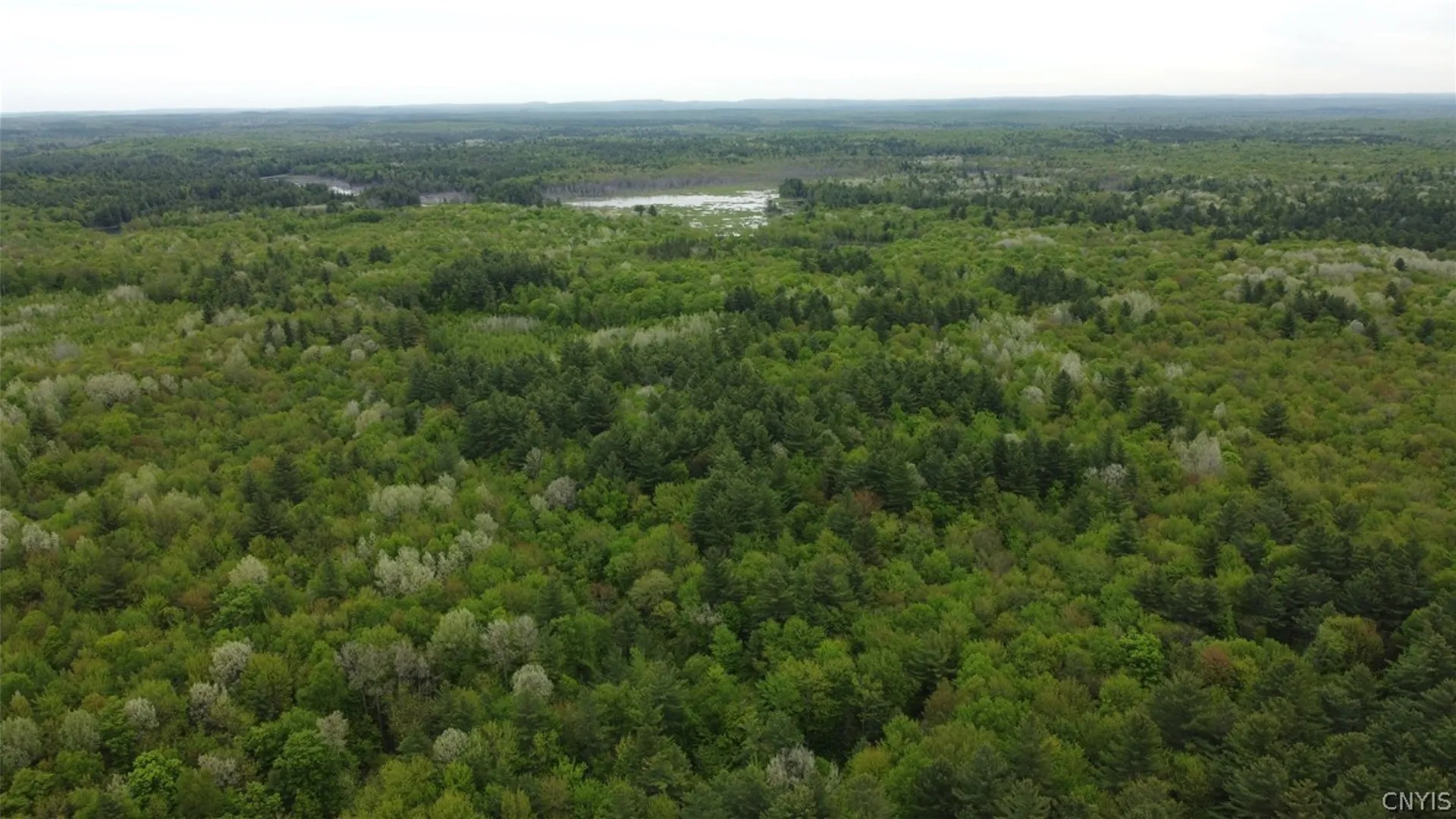 Property at 00 Cotton Road, Croghan, NY 13327 16