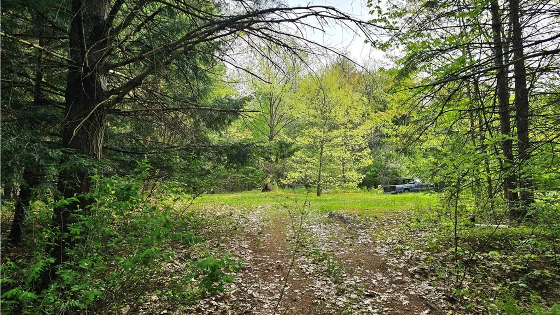 Property at 00 Cotton Road, Croghan, NY 13327 22