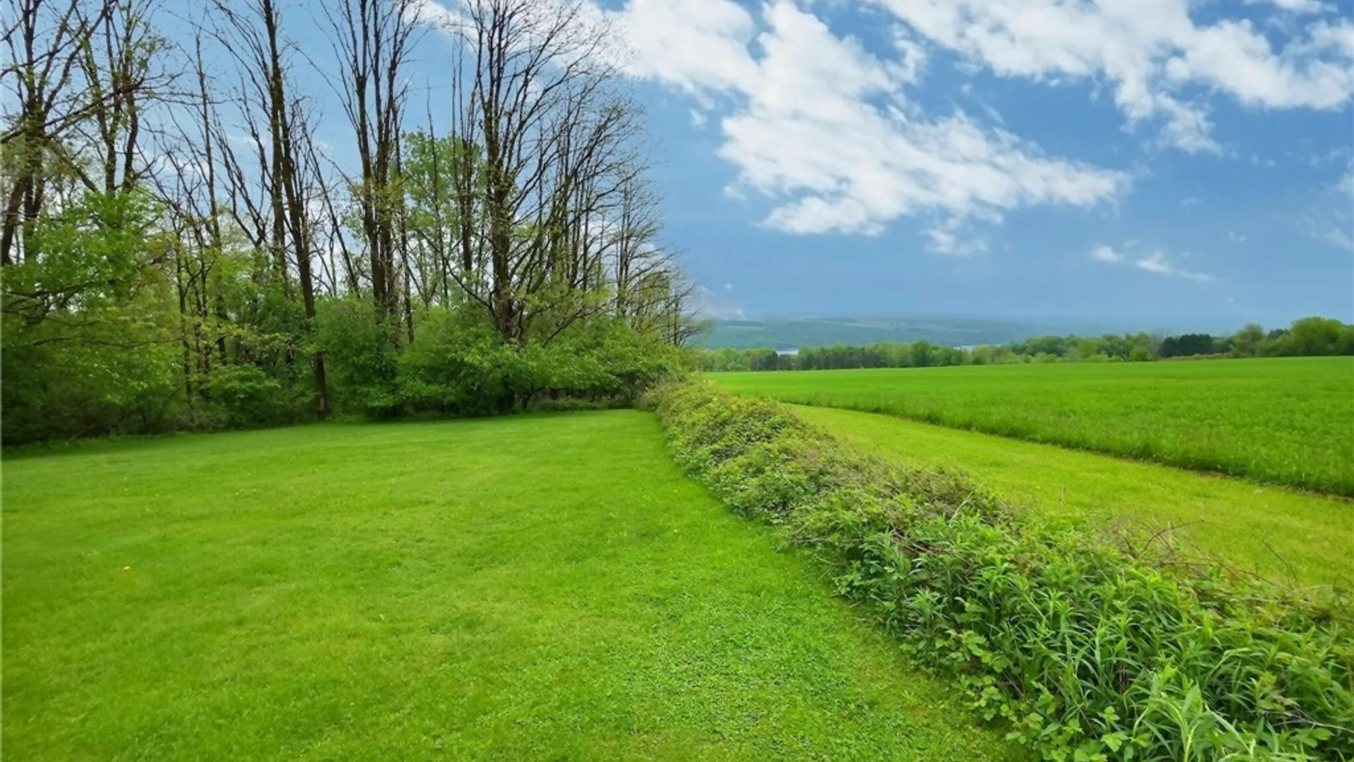 Property at 4116 Wyckoff Road, Scipio, NY 13147 42