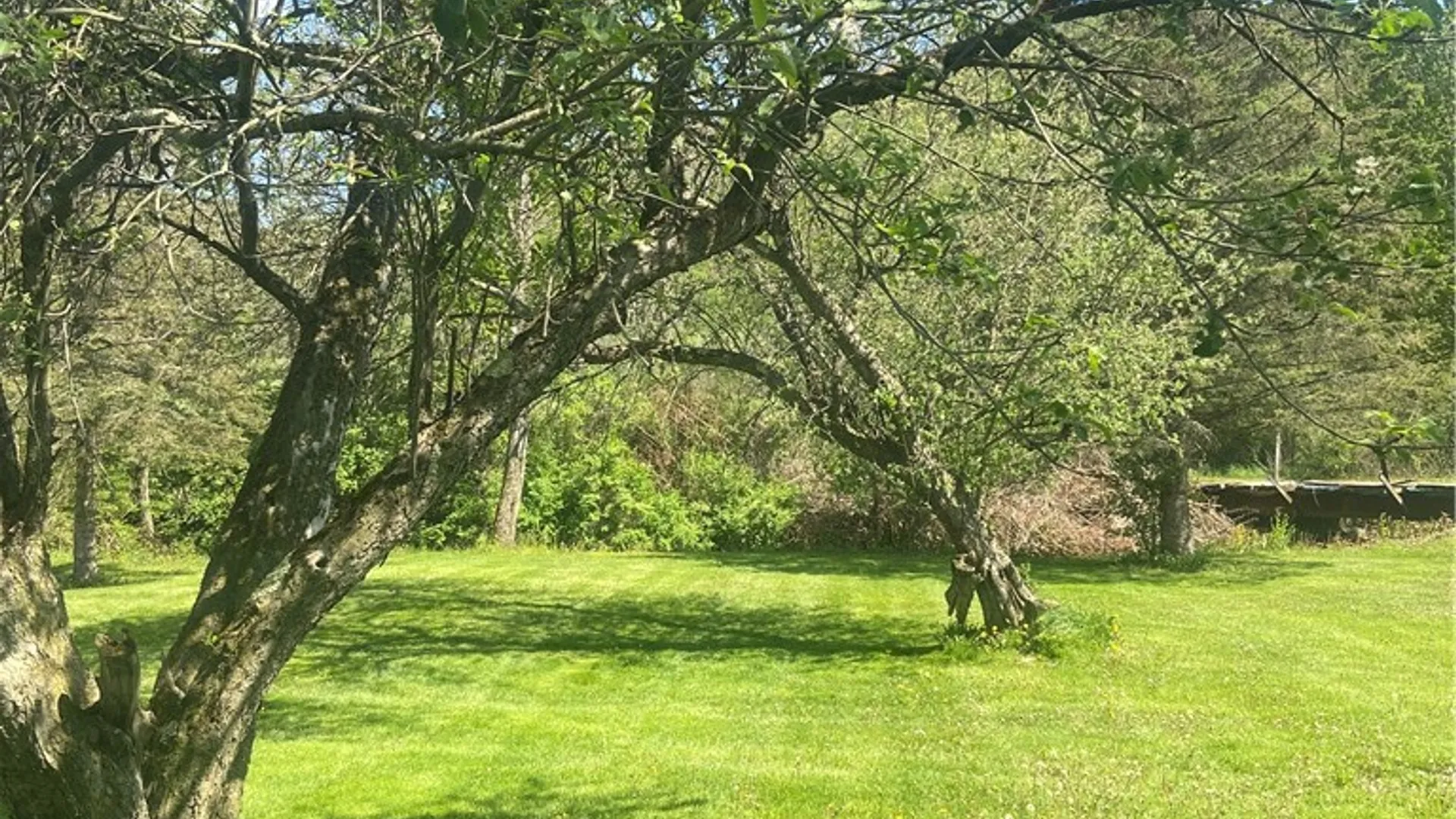 Property at 100 Hubbells Corner Road, Roxbury, NY 12474 5