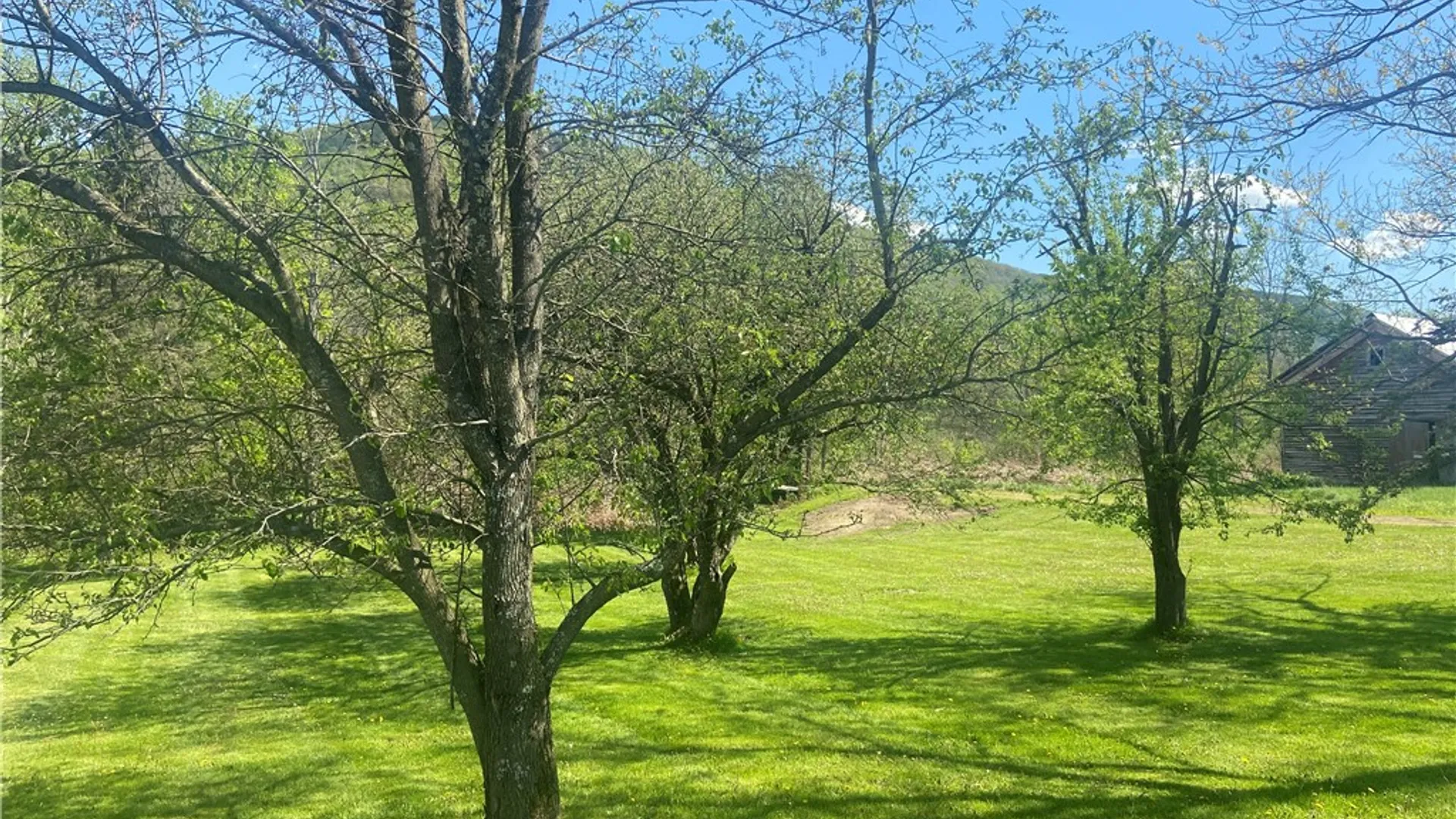 Property at 100 Hubbells Corner Road, Roxbury, NY 12474 30