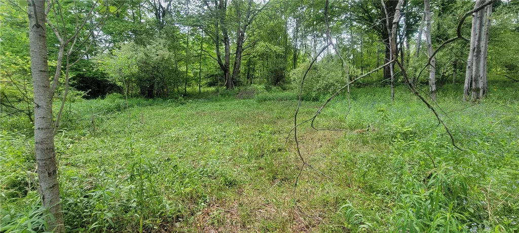 Property at Mary Lynne Lane, Guilford, NY 13780