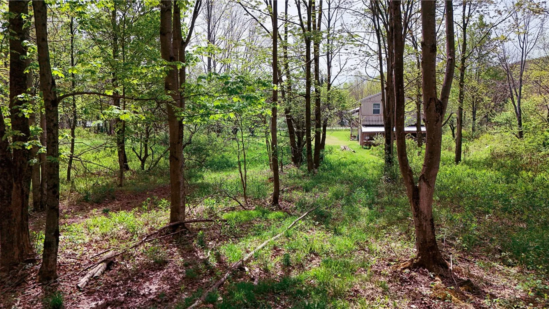 Property at 1799 Brownell Road, Kortright, NY 13739 33