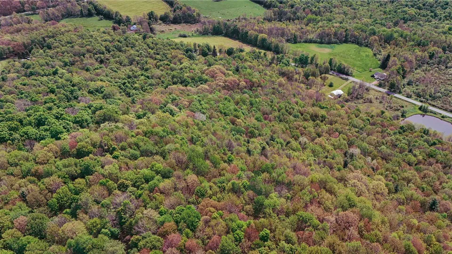 Property at 1799 Brownell Road, Kortright, NY 13739 38