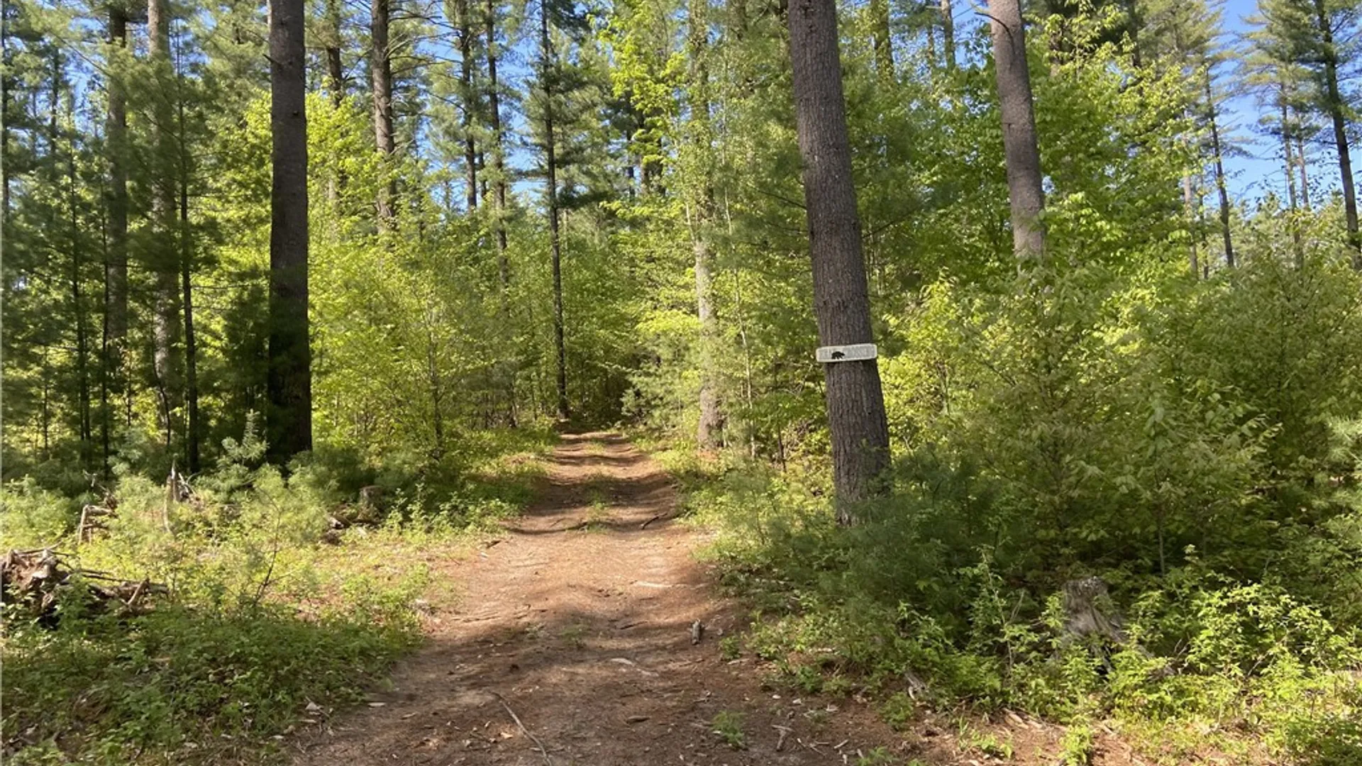 Property at 0 Adams Hill Road, New Bremen, NY 13327 5