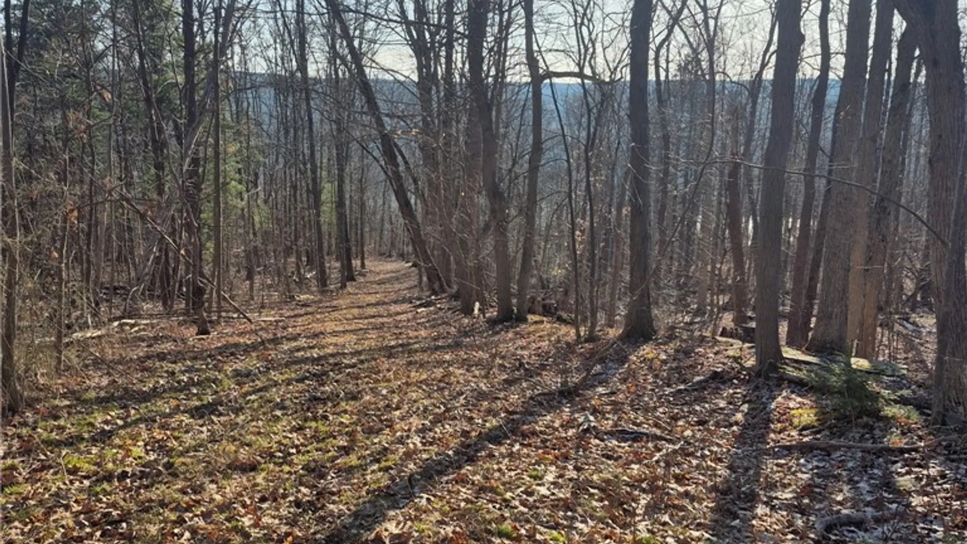 Property at 6025 Canadice Hill Road, Canadice, NY 14560 45