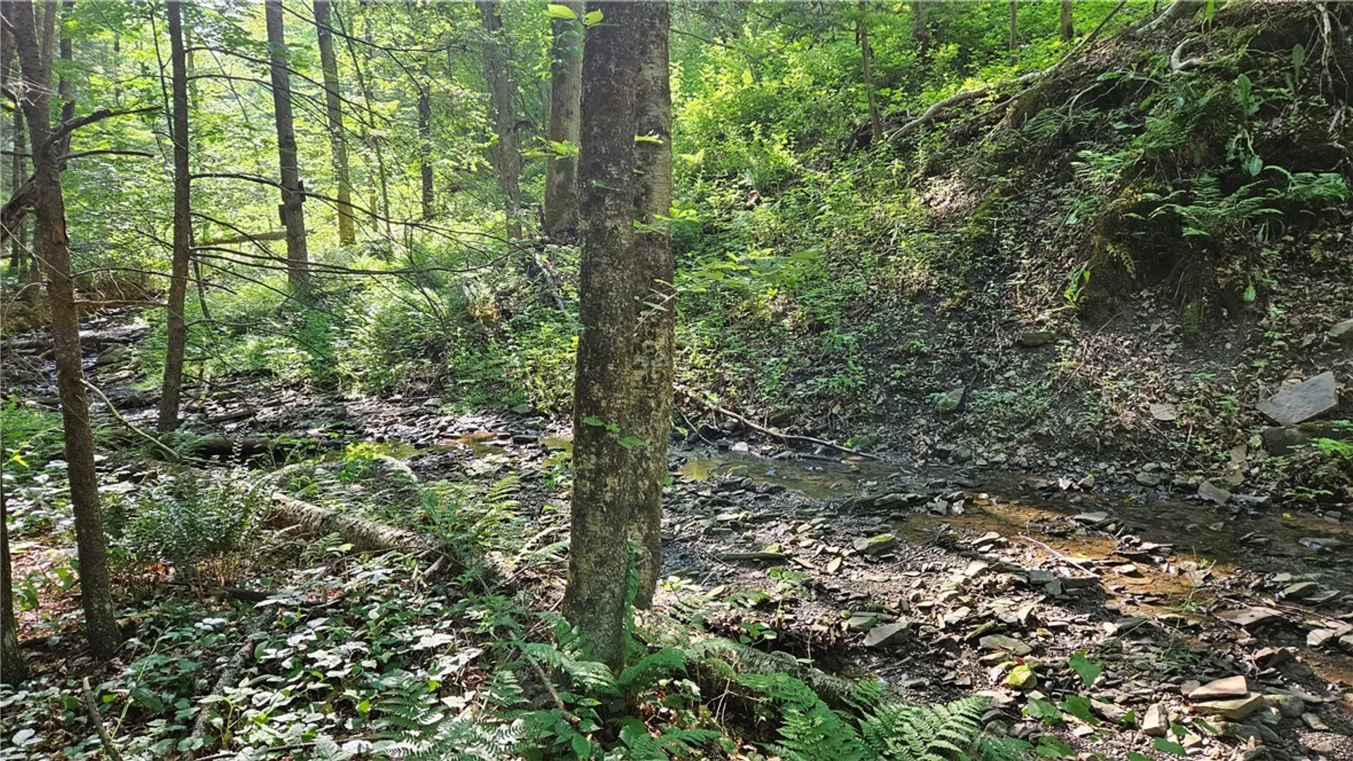 Property at 0 Campbell Hill Road, Tioga, NY 13827 4