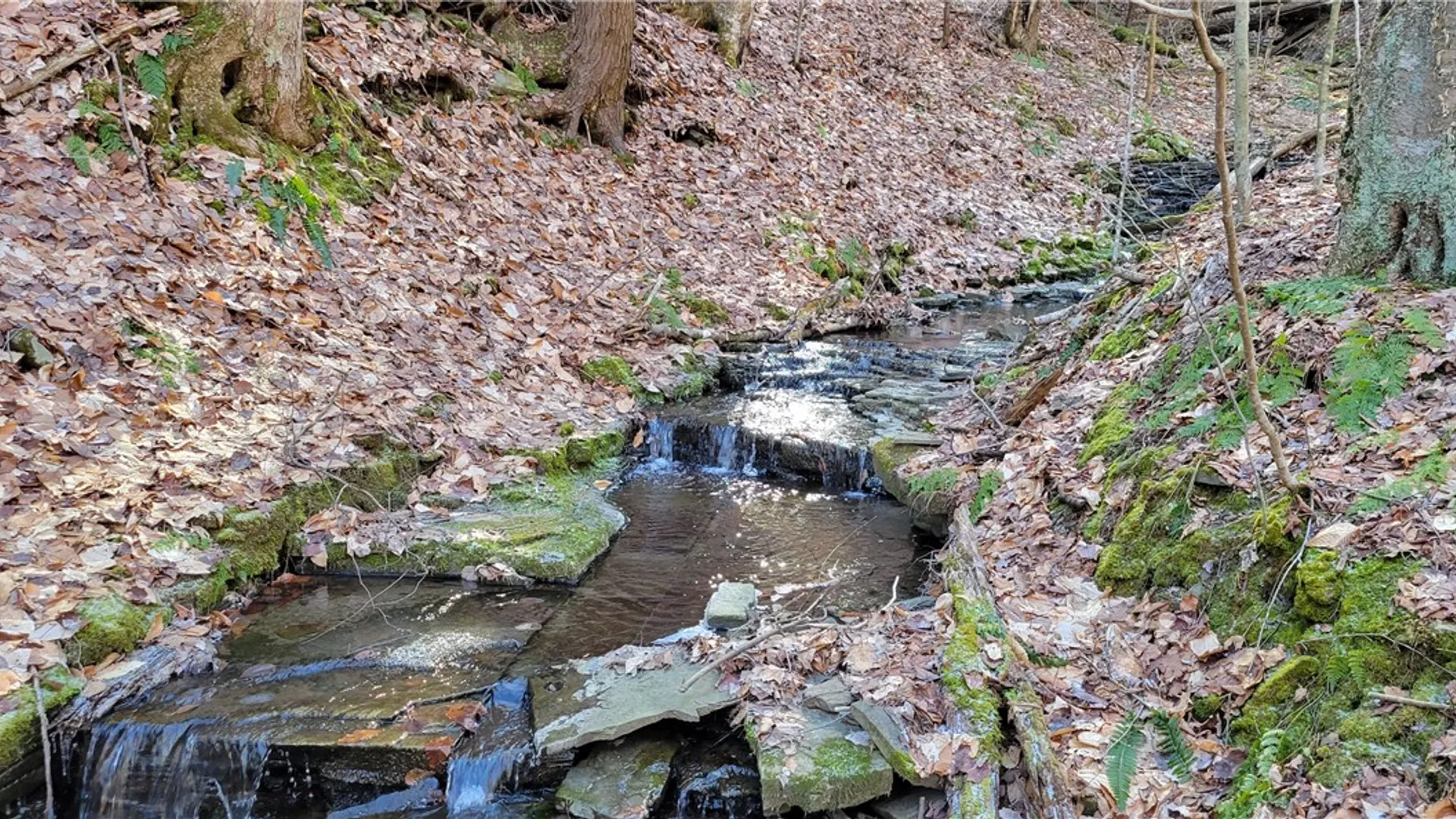 Property at 0 Campbell Hill Road, Tioga, NY 13827 5