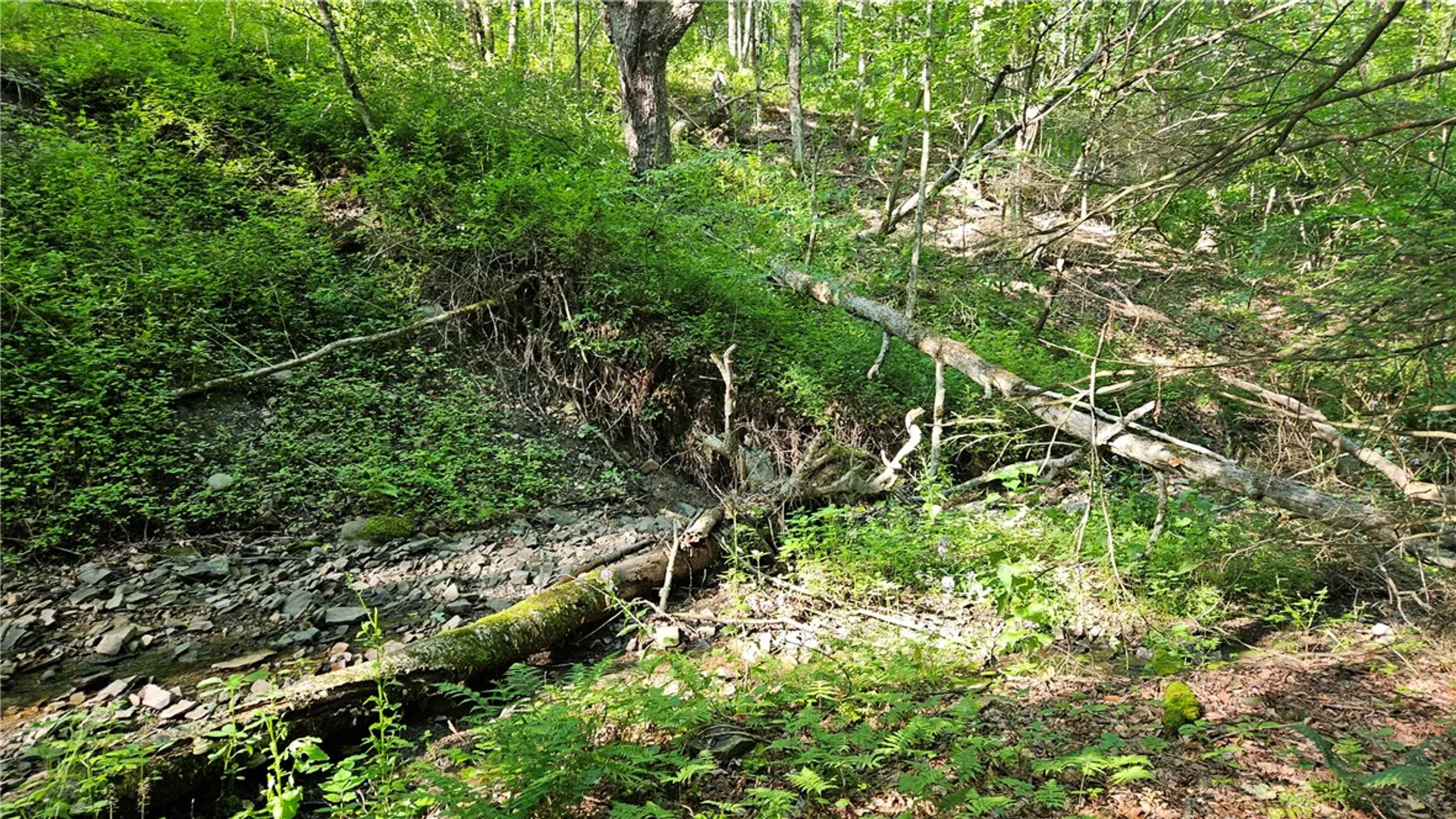 Property at 0 Campbell Hill Road, Tioga, NY 13827 6