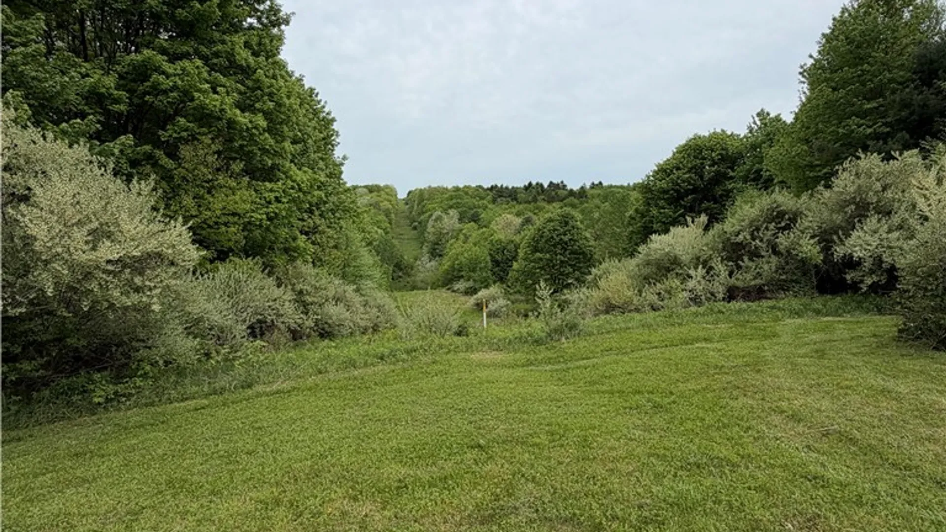 Property at 0 Campbell Hill Road, Tioga, NY 13827 8