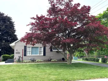 Property at 31 N Clinton Street, North Dansville, NY 14437