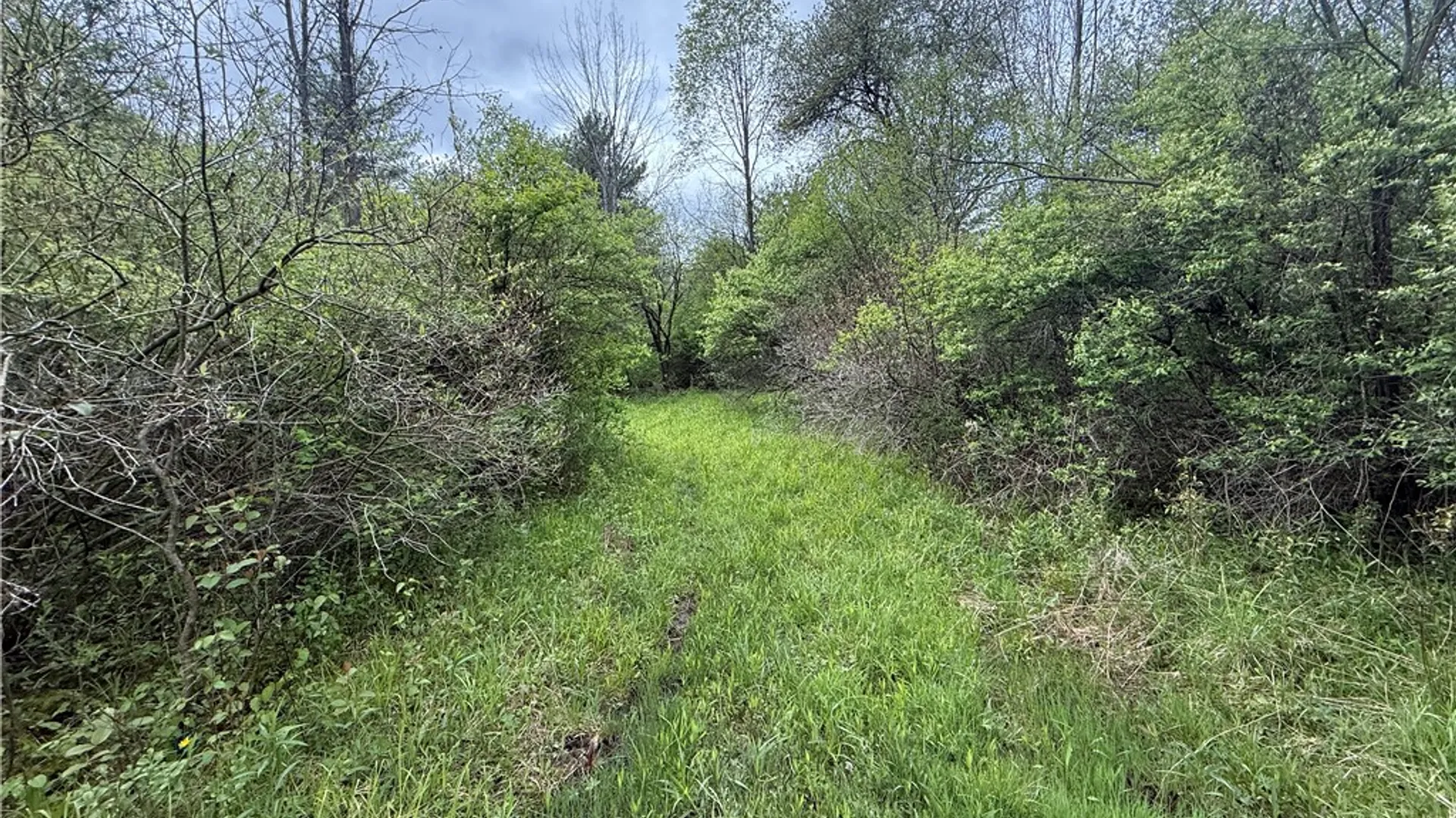 Property at Caswell Road, Dryden, NY 13068 4