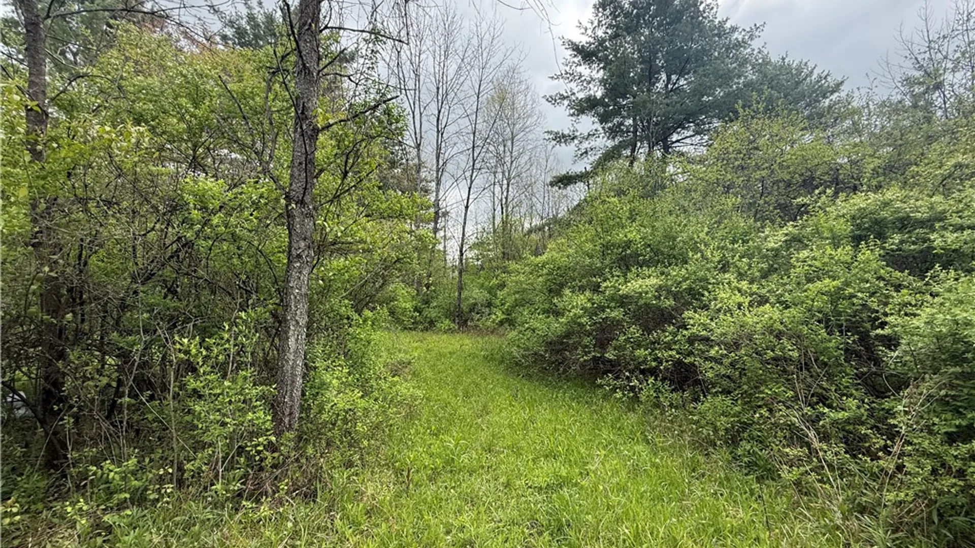 Property at Caswell Road, Dryden, NY 13068 5