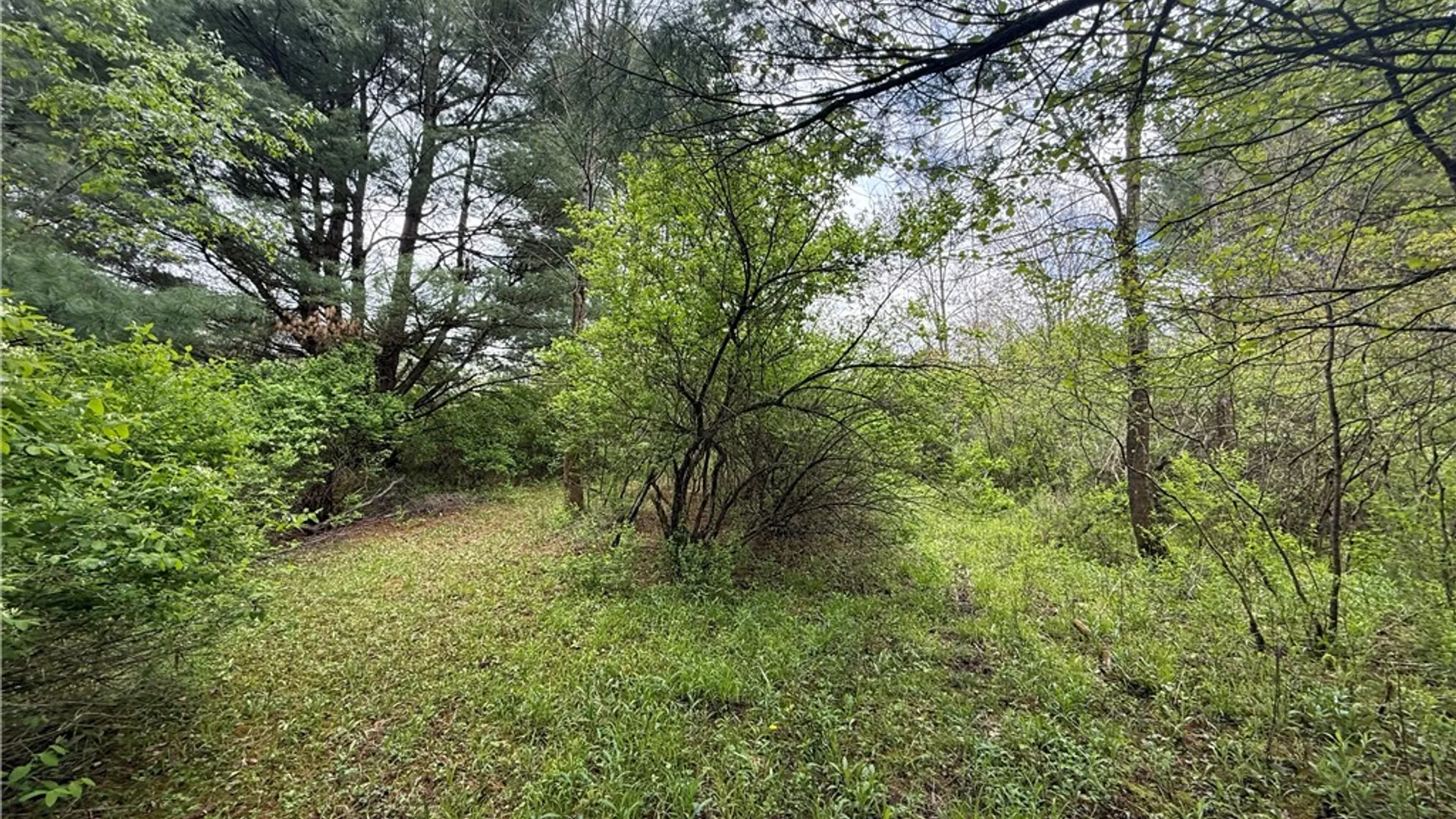 Property at Caswell Road, Dryden, NY 13068 9