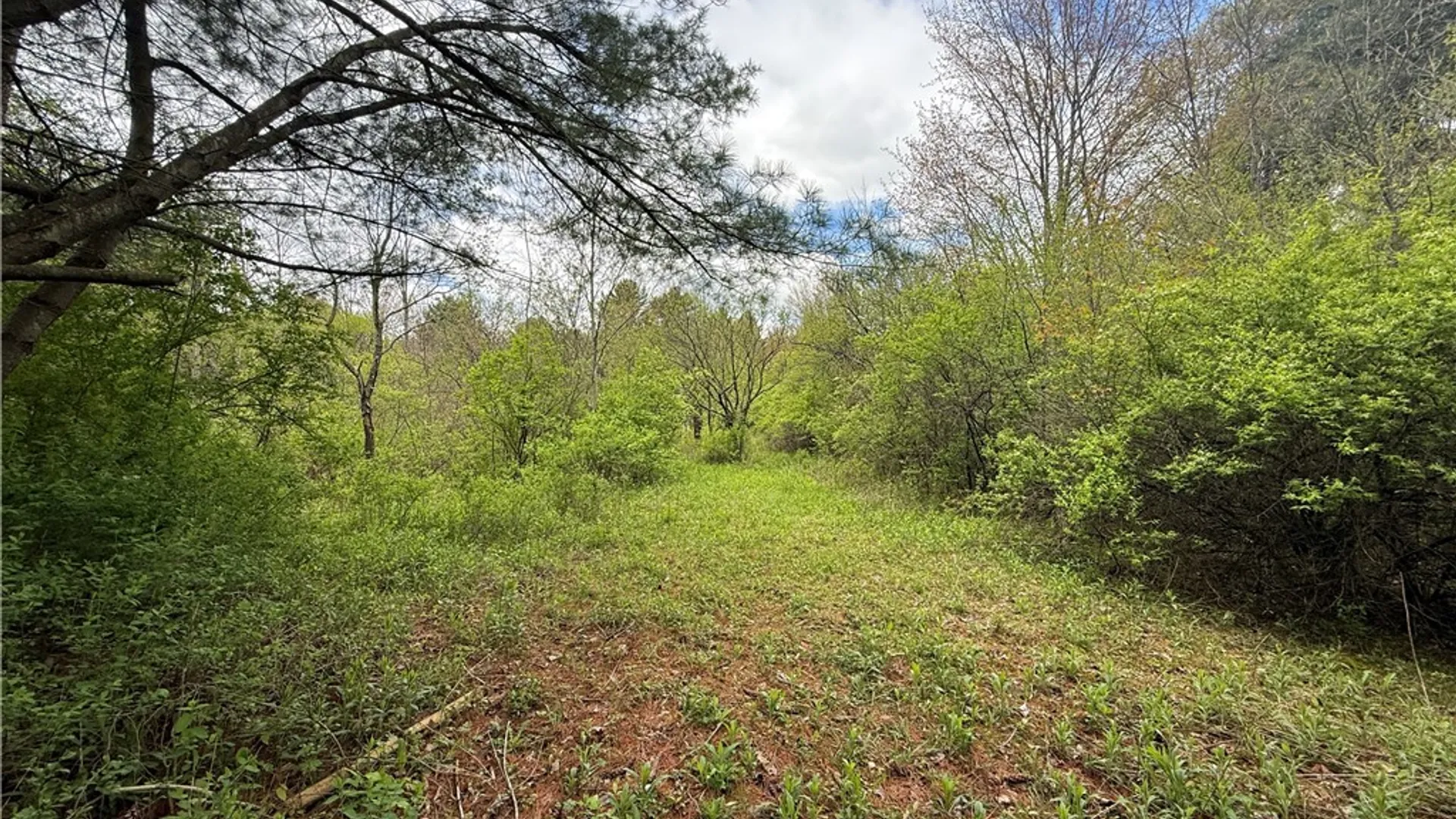 Property at Caswell Road, Dryden, NY 13068 10