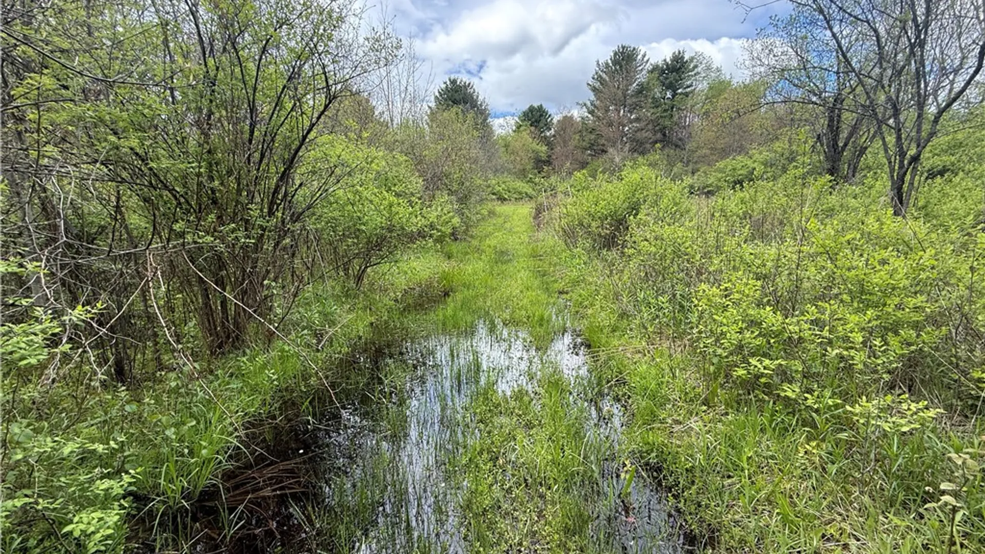 Property at Caswell Road, Dryden, NY 13068 12