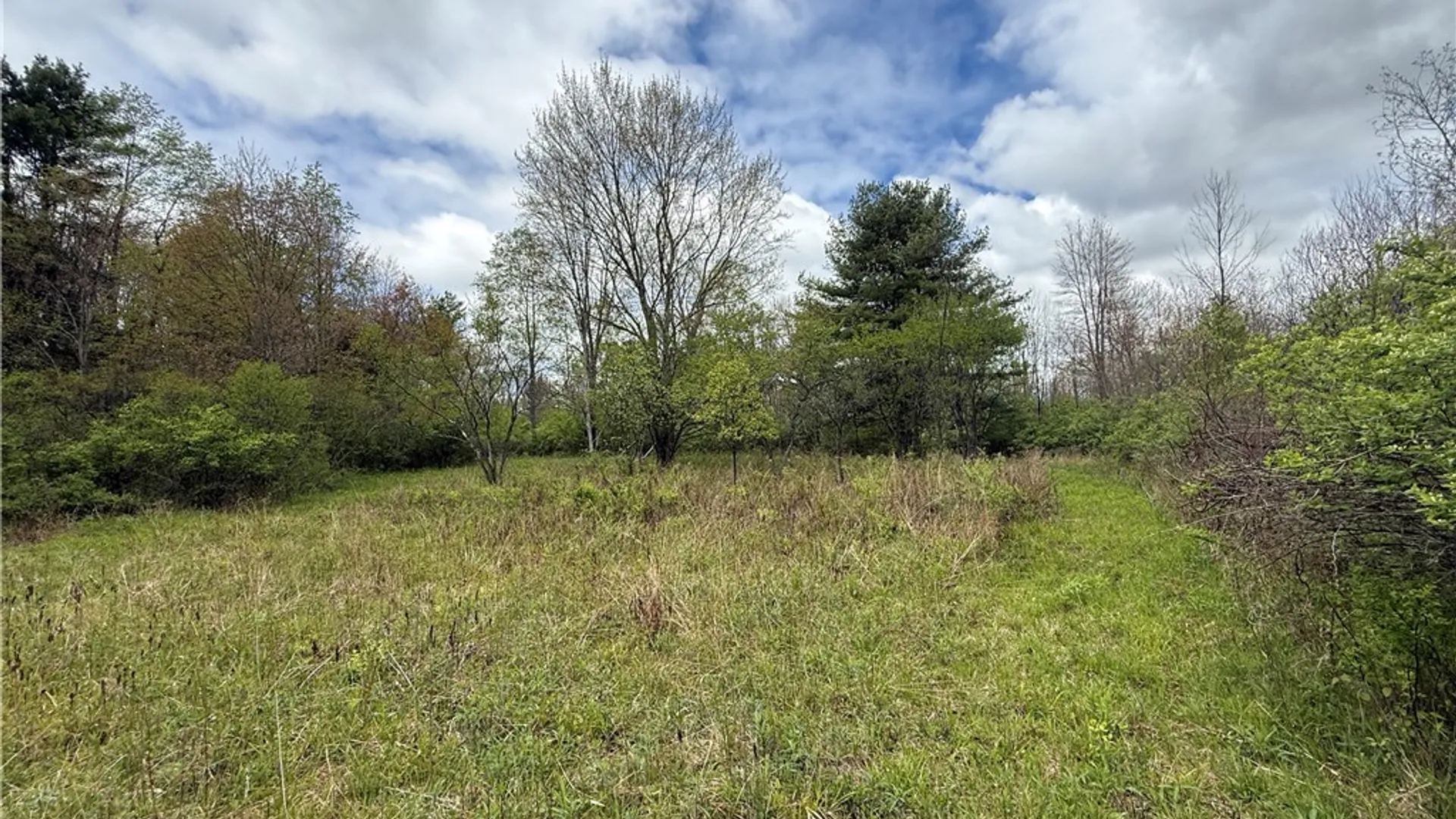 Property at Caswell Road, Dryden, NY 13068 13
