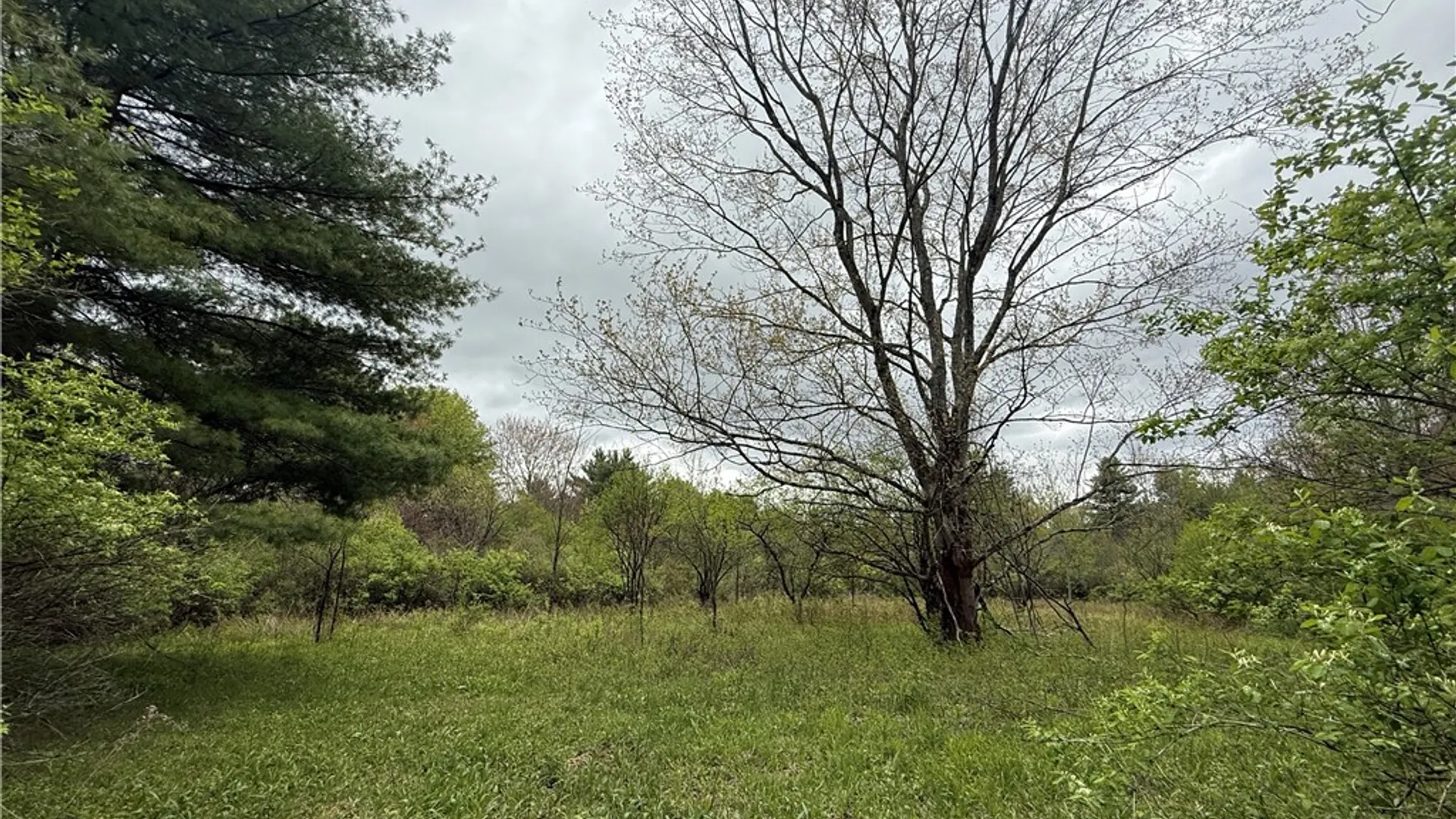 Property at Caswell Road, Dryden, NY 13068 15