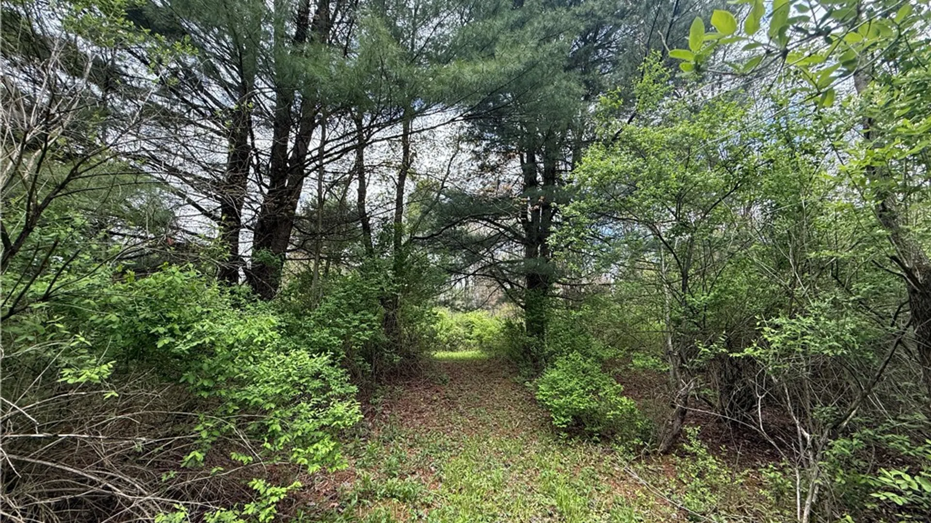 Property at Caswell Road, Dryden, NY 13068 16