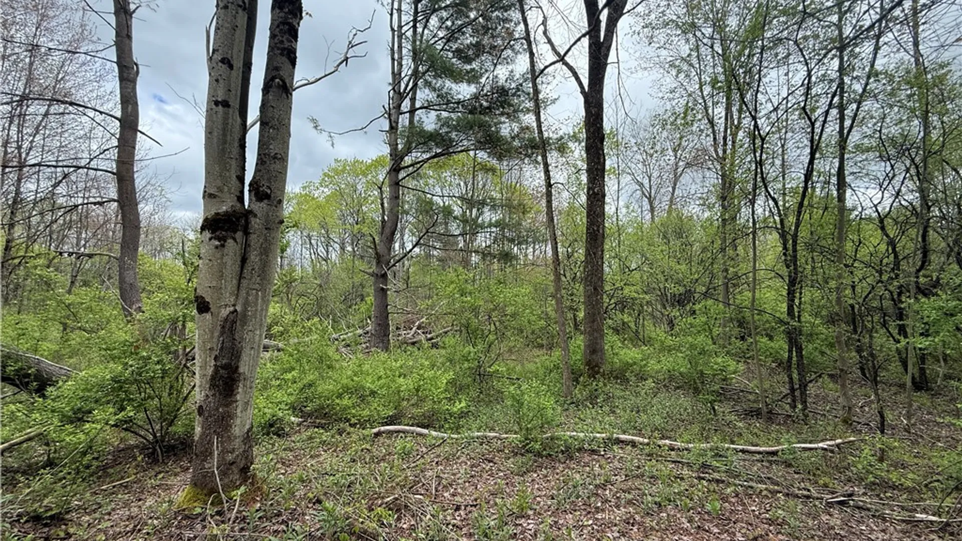 Property at Caswell Road, Dryden, NY 13068 17