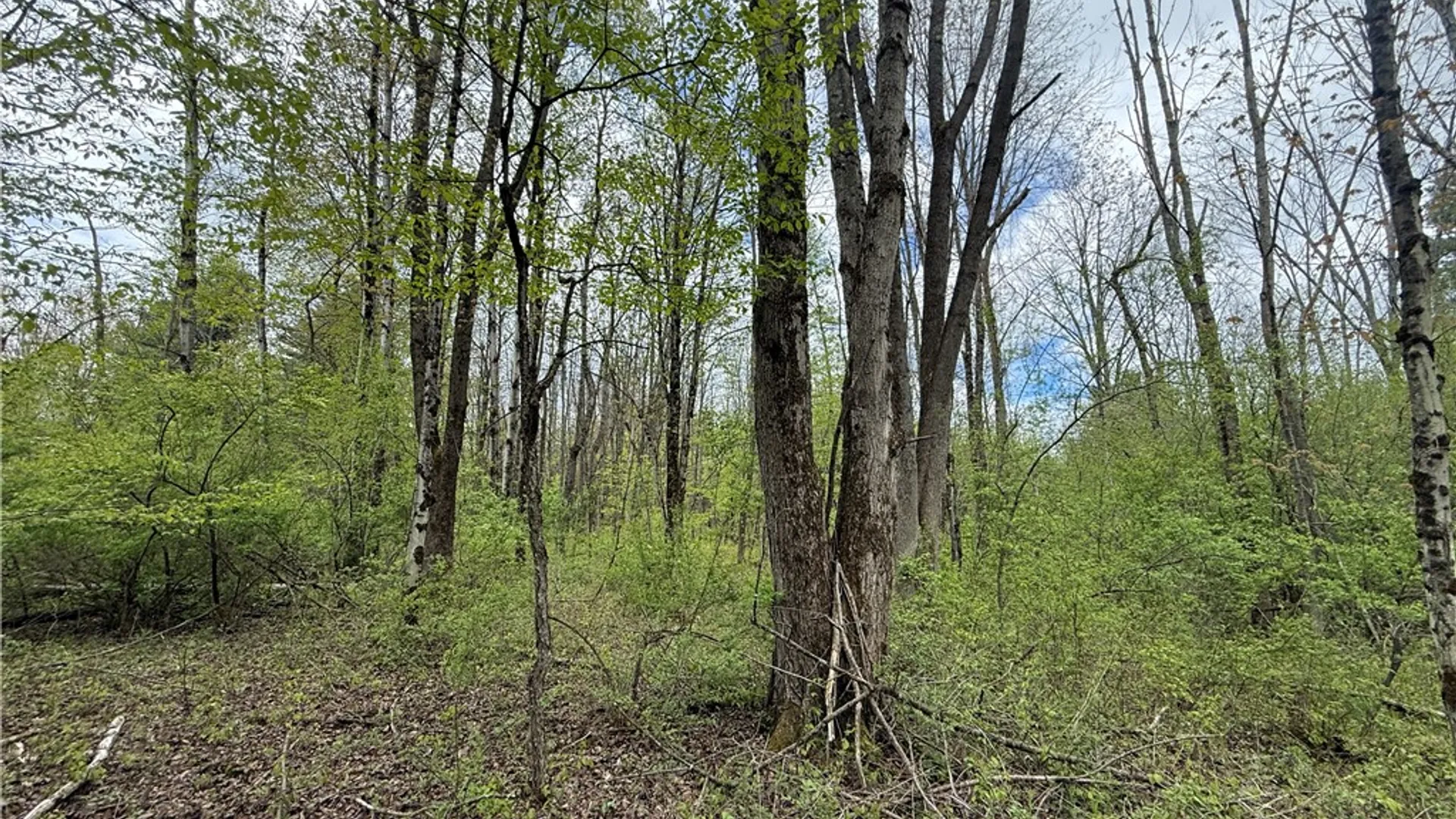 Property at Caswell Road, Dryden, NY 13068 18