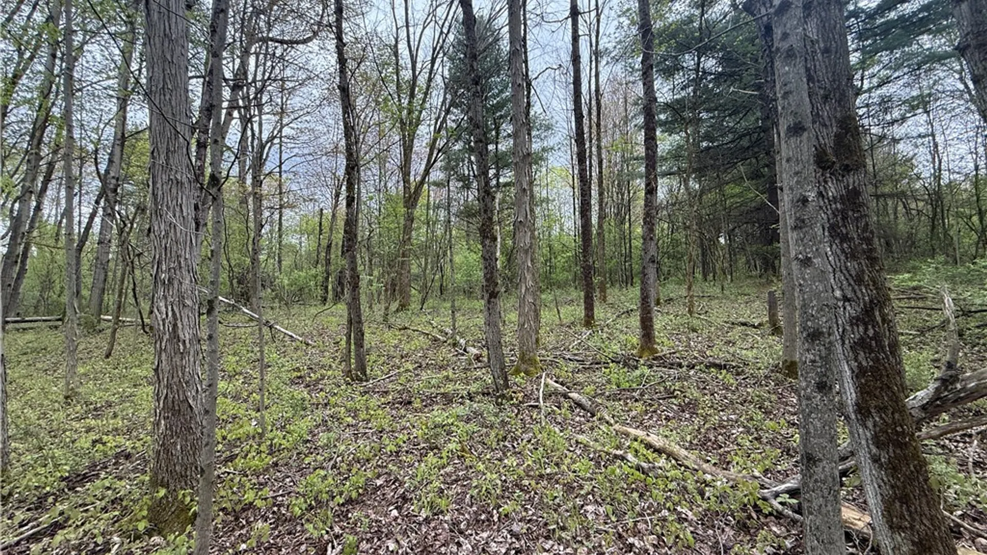 Property at Caswell Road, Dryden, NY 13068 22