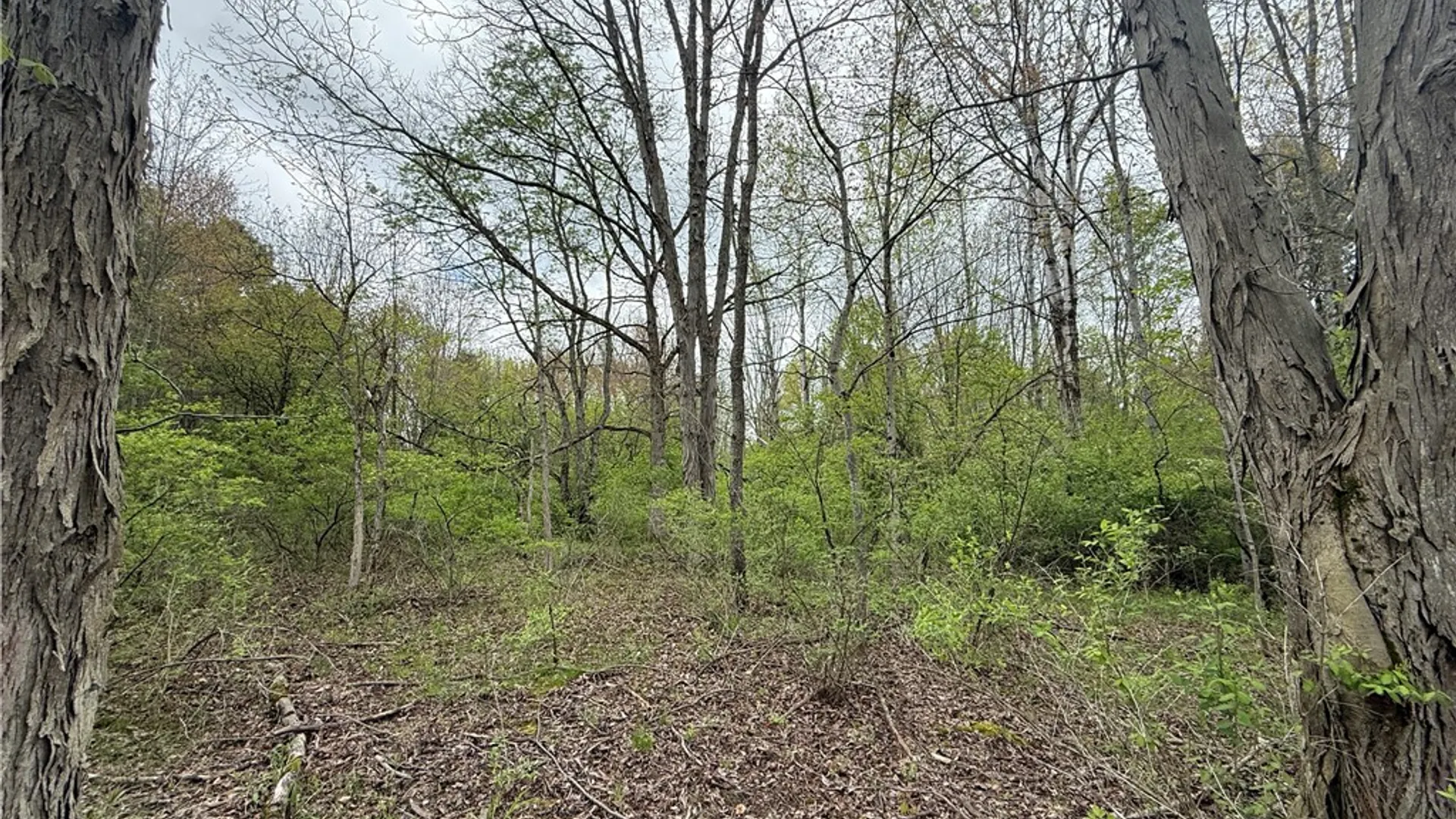 Property at Caswell Road, Dryden, NY 13068 23