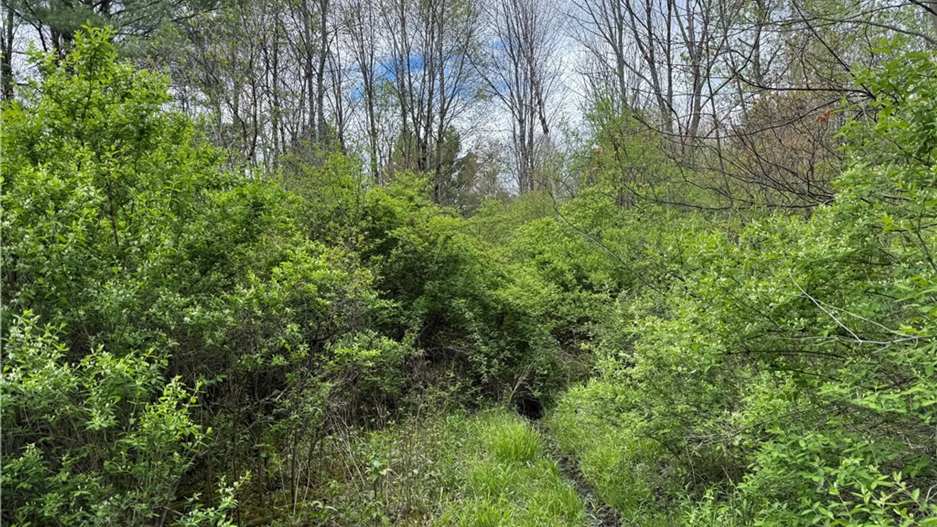 Property at Caswell Road, Dryden, NY 13068 25