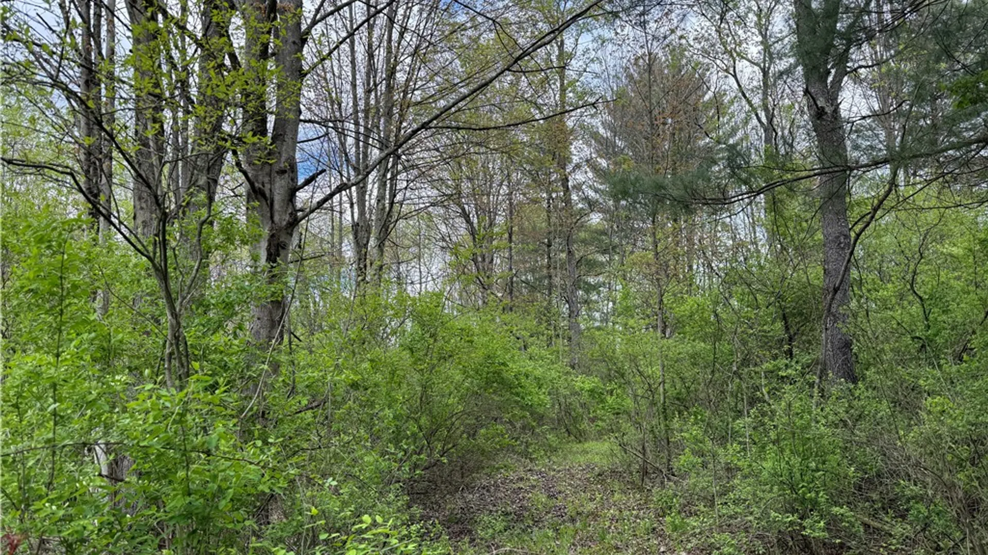Property at Caswell Road, Dryden, NY 13068 26