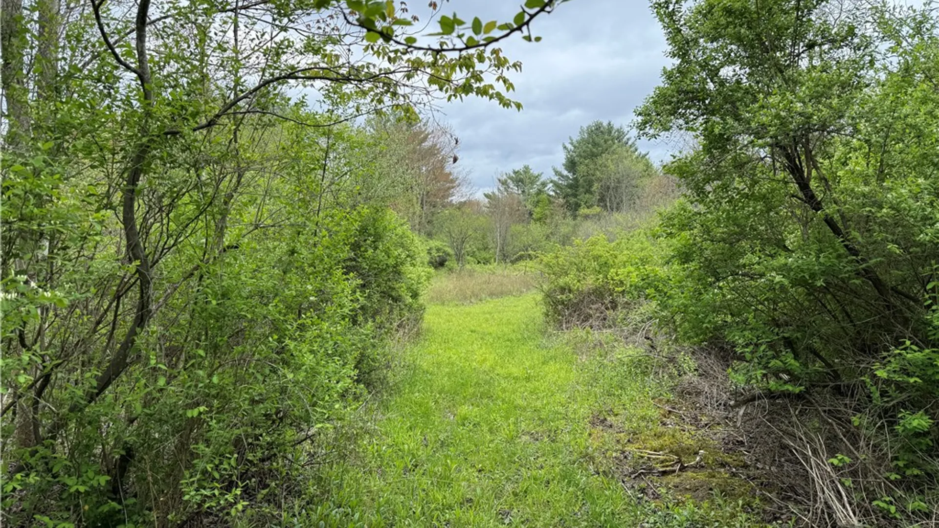 Property at Caswell Road, Dryden, NY 13068 28