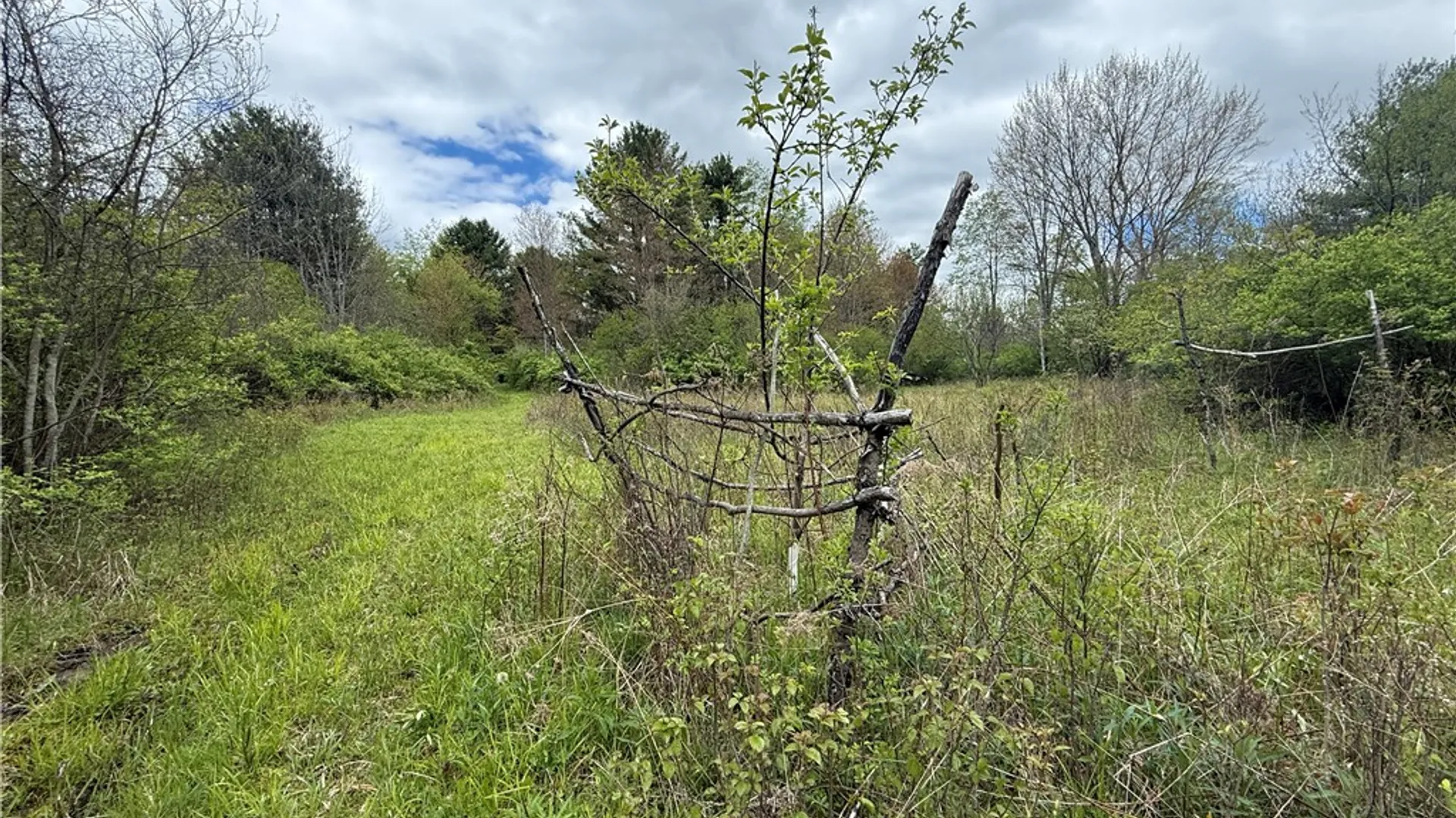 Property at Caswell Road, Dryden, NY 13068 31