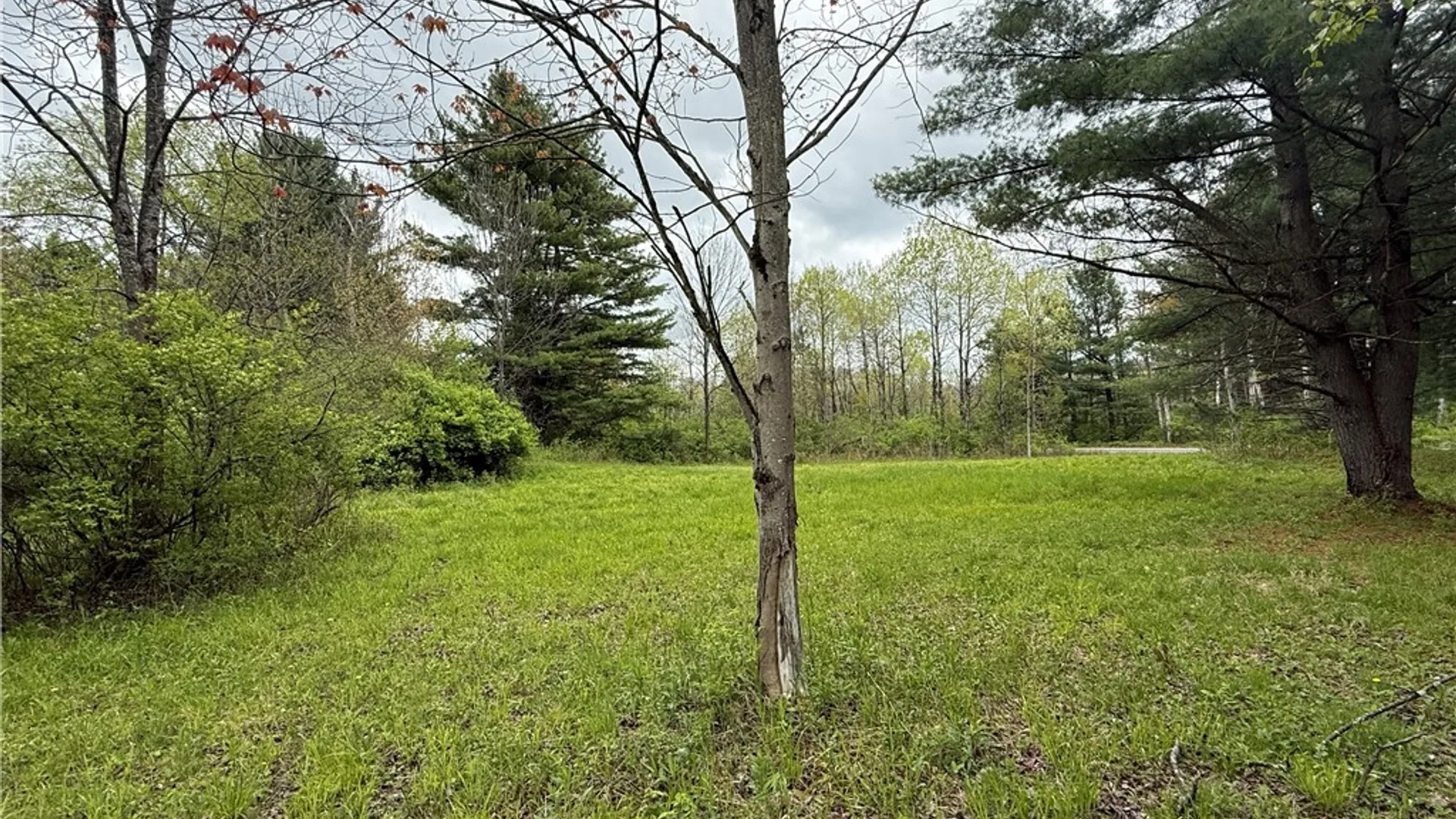 Property at Caswell Road, Dryden, NY 13068 36