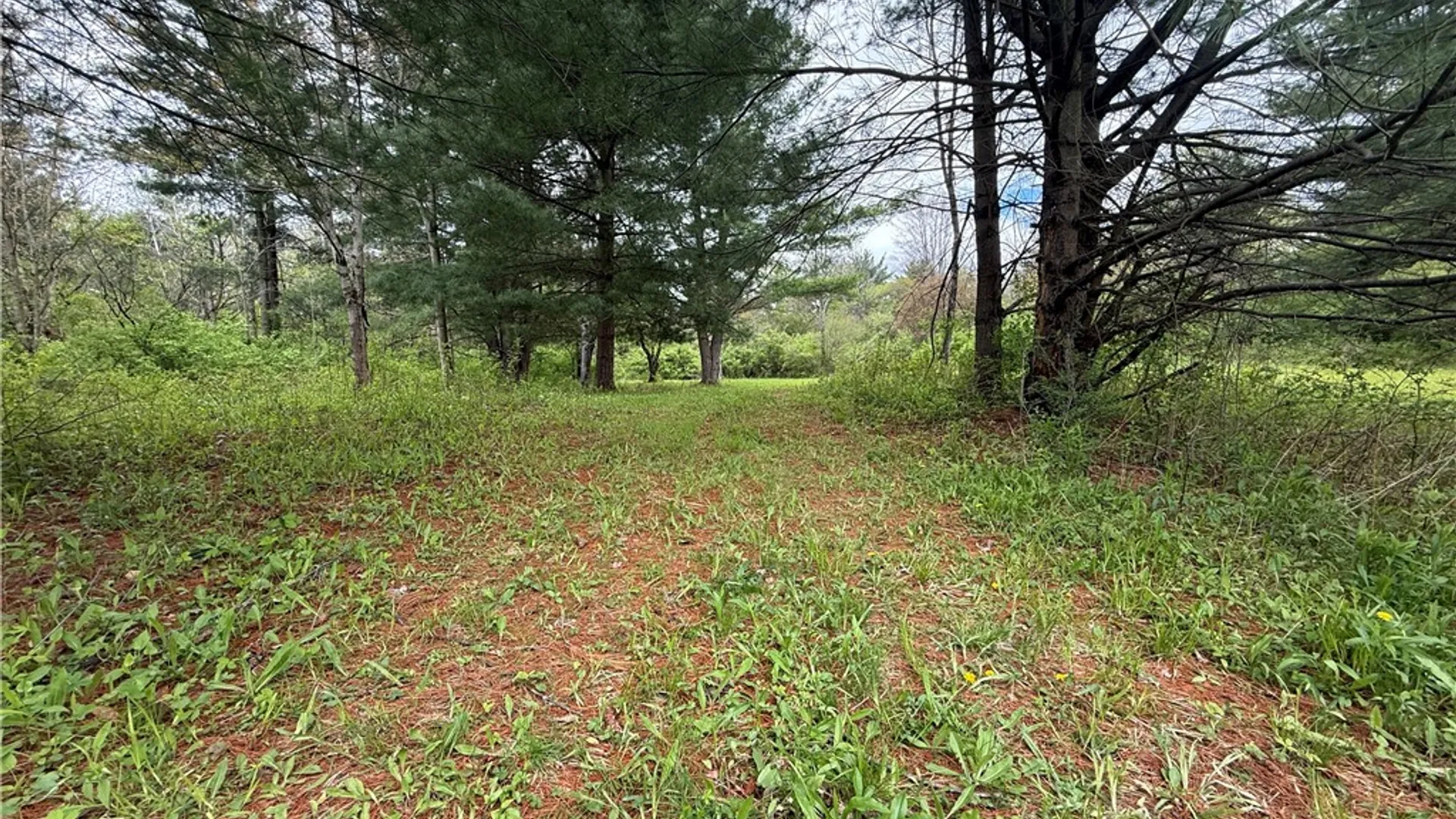 Property at Caswell Road, Dryden, NY 13068 37