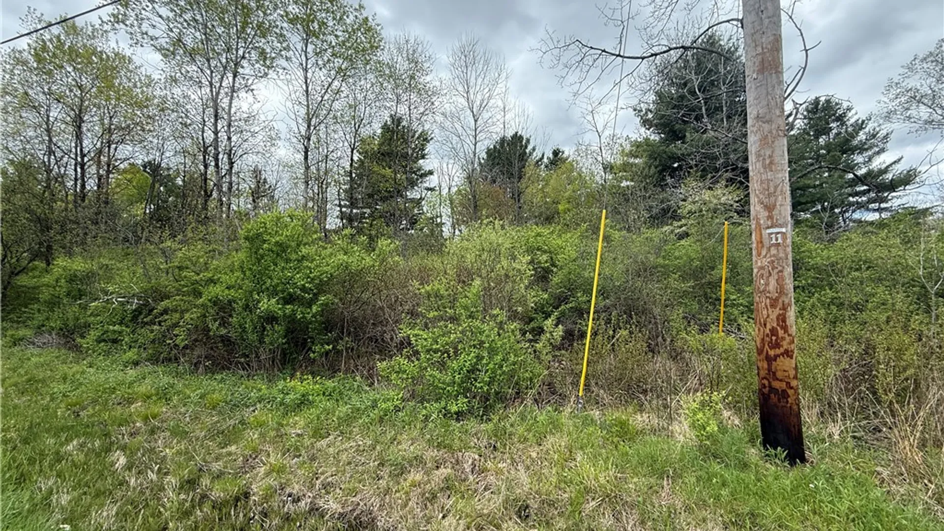 Property at Caswell Road, Dryden, NY 13068 41