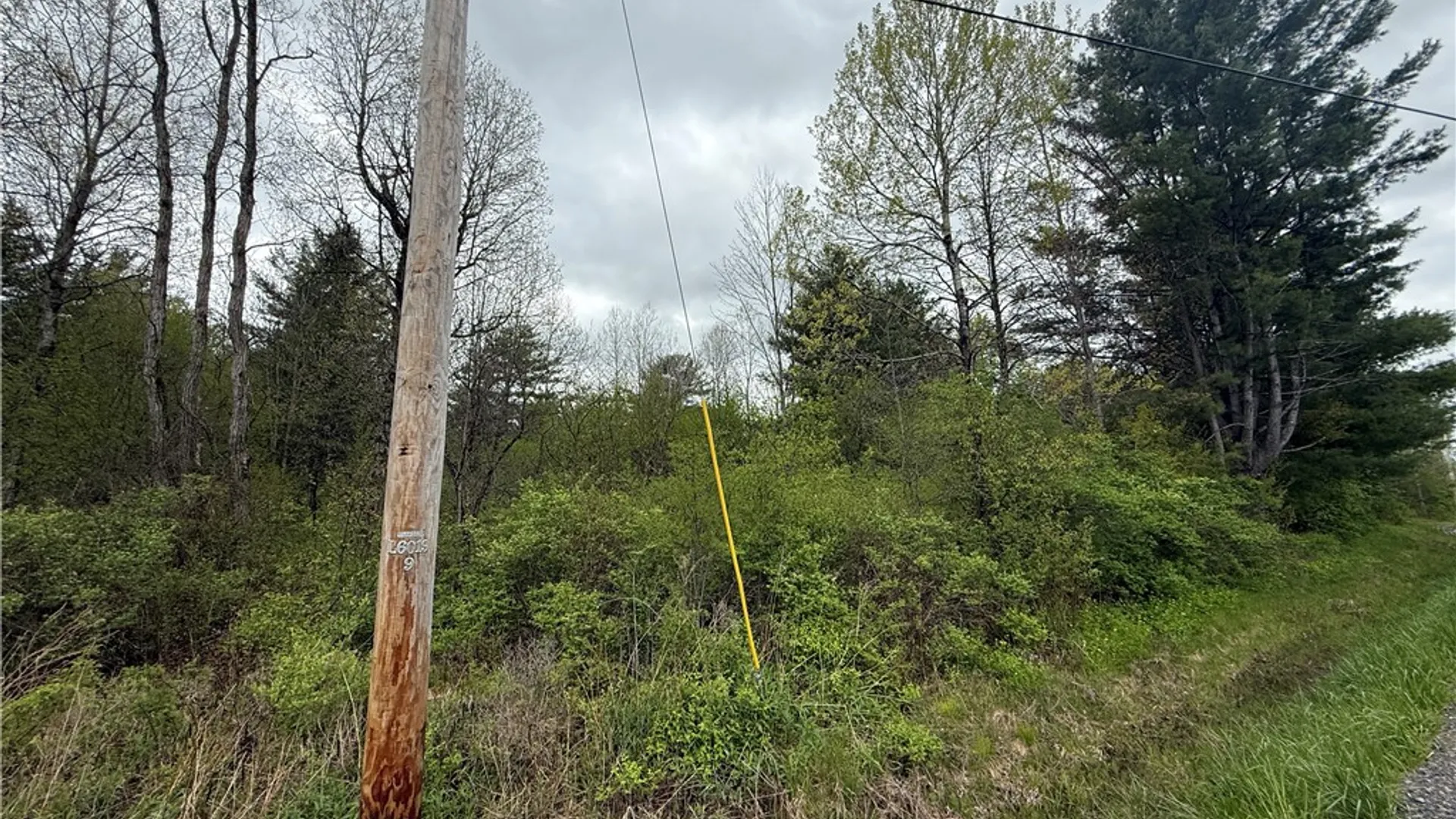 Property at Caswell Road, Dryden, NY 13068 43