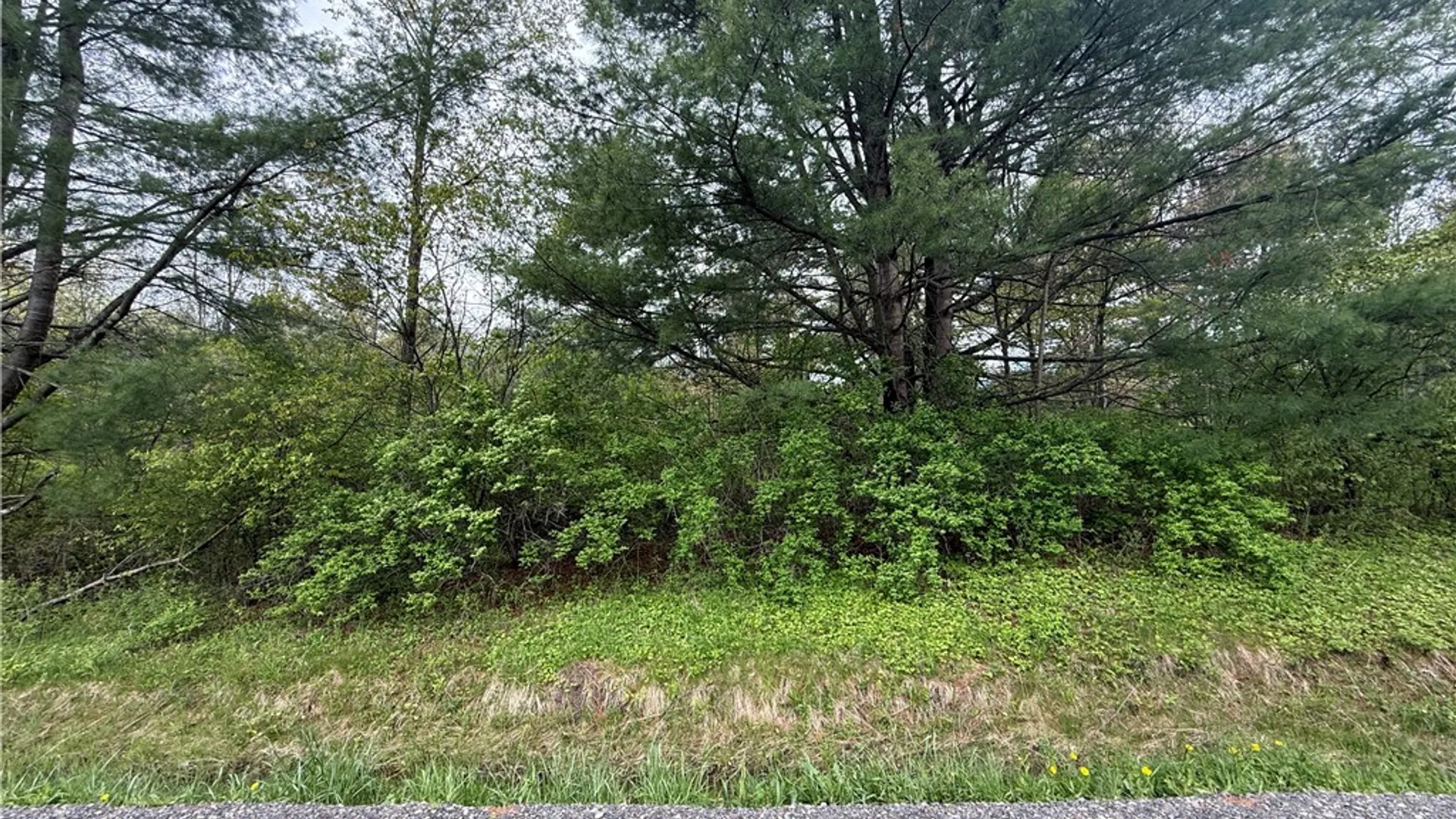 Property at Caswell Road, Dryden, NY 13068 44
