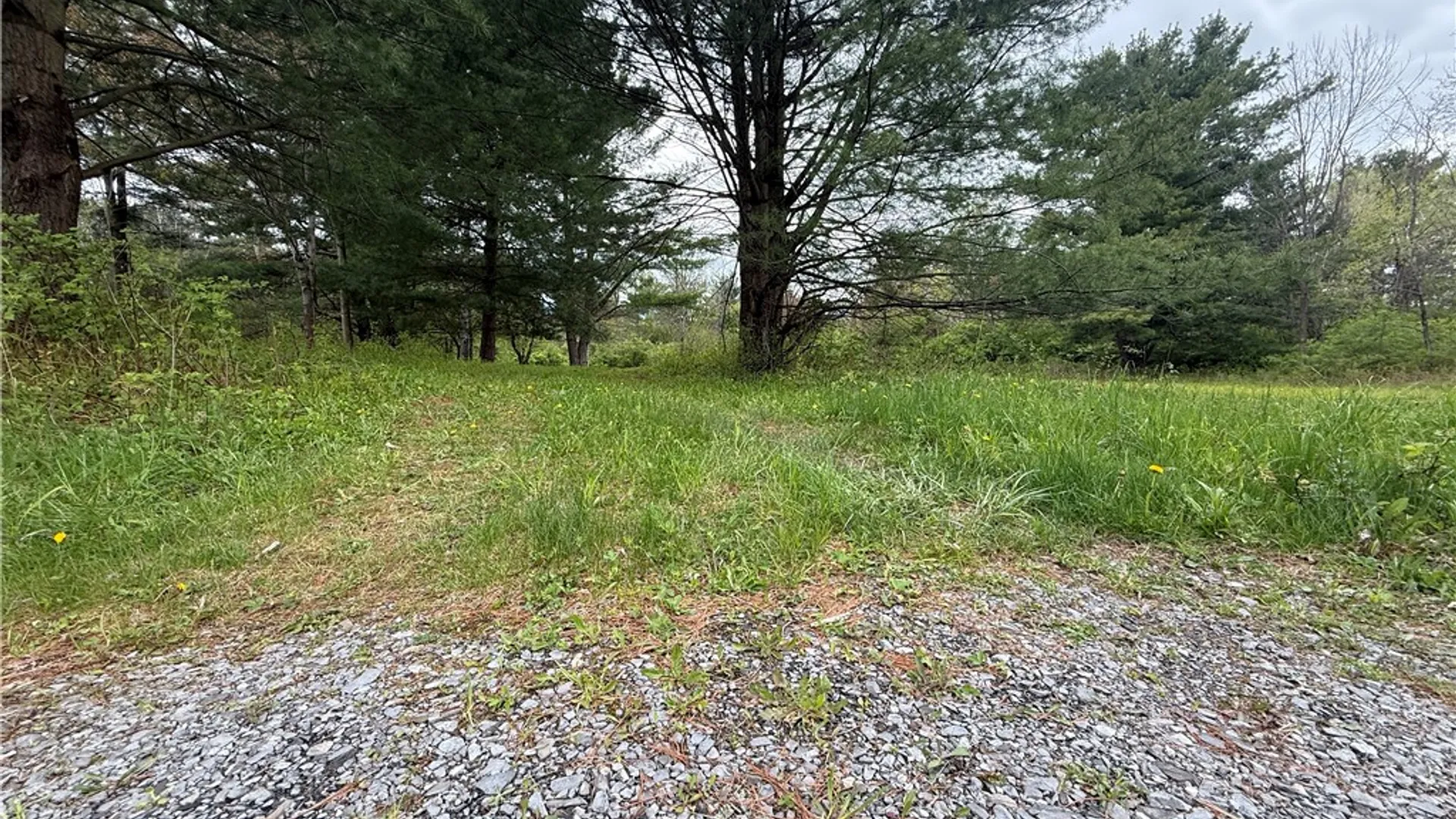 Property at Caswell Road, Dryden, NY 13068 45
