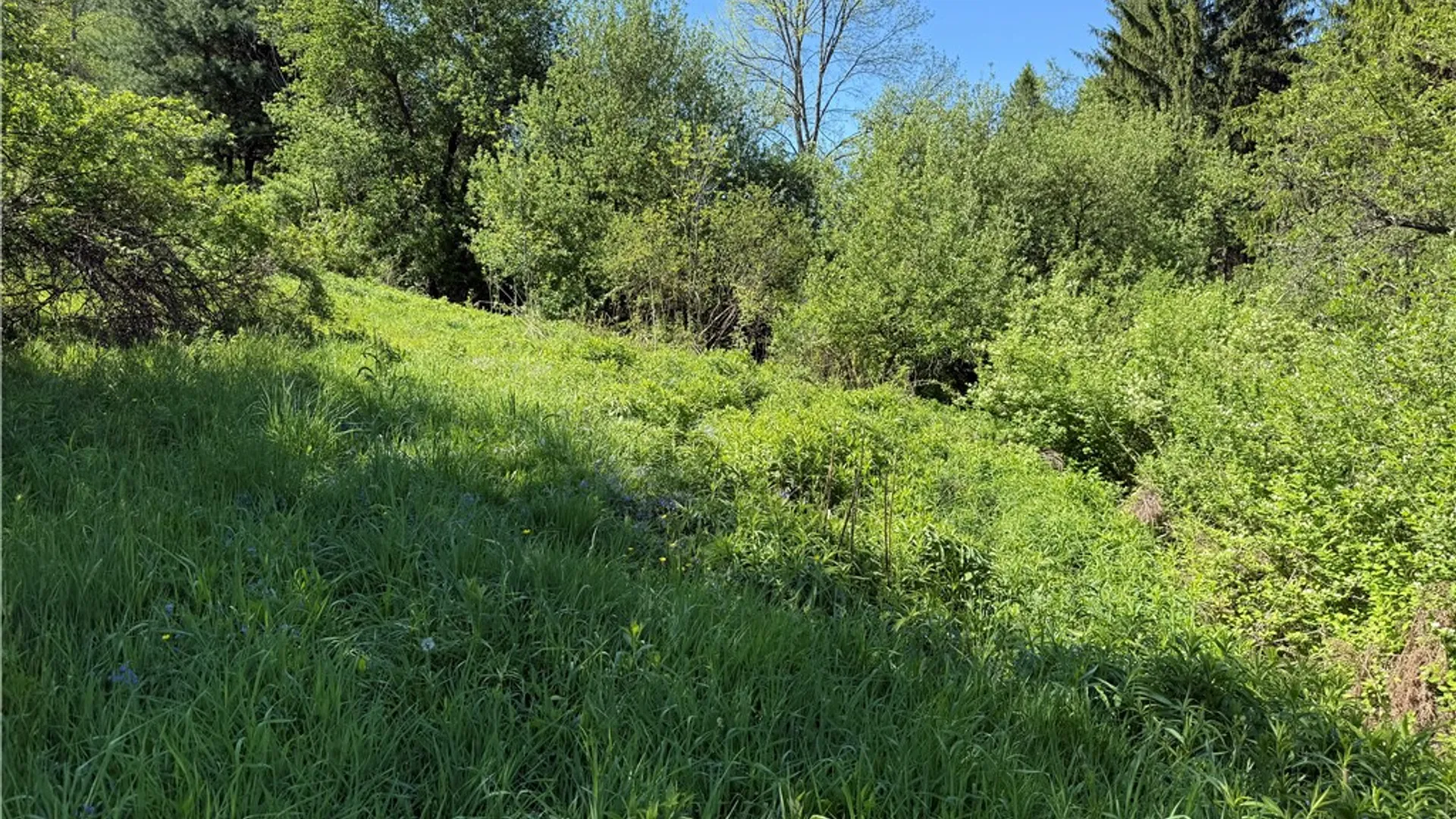 Property at 8082 Rt-242, Little Valley, NY 14755 9