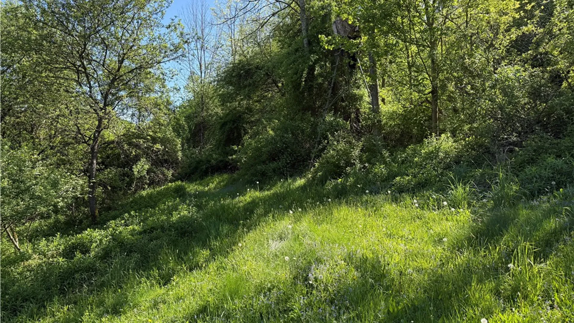 Property at 8082 Rt-242, Little Valley, NY 14755 10