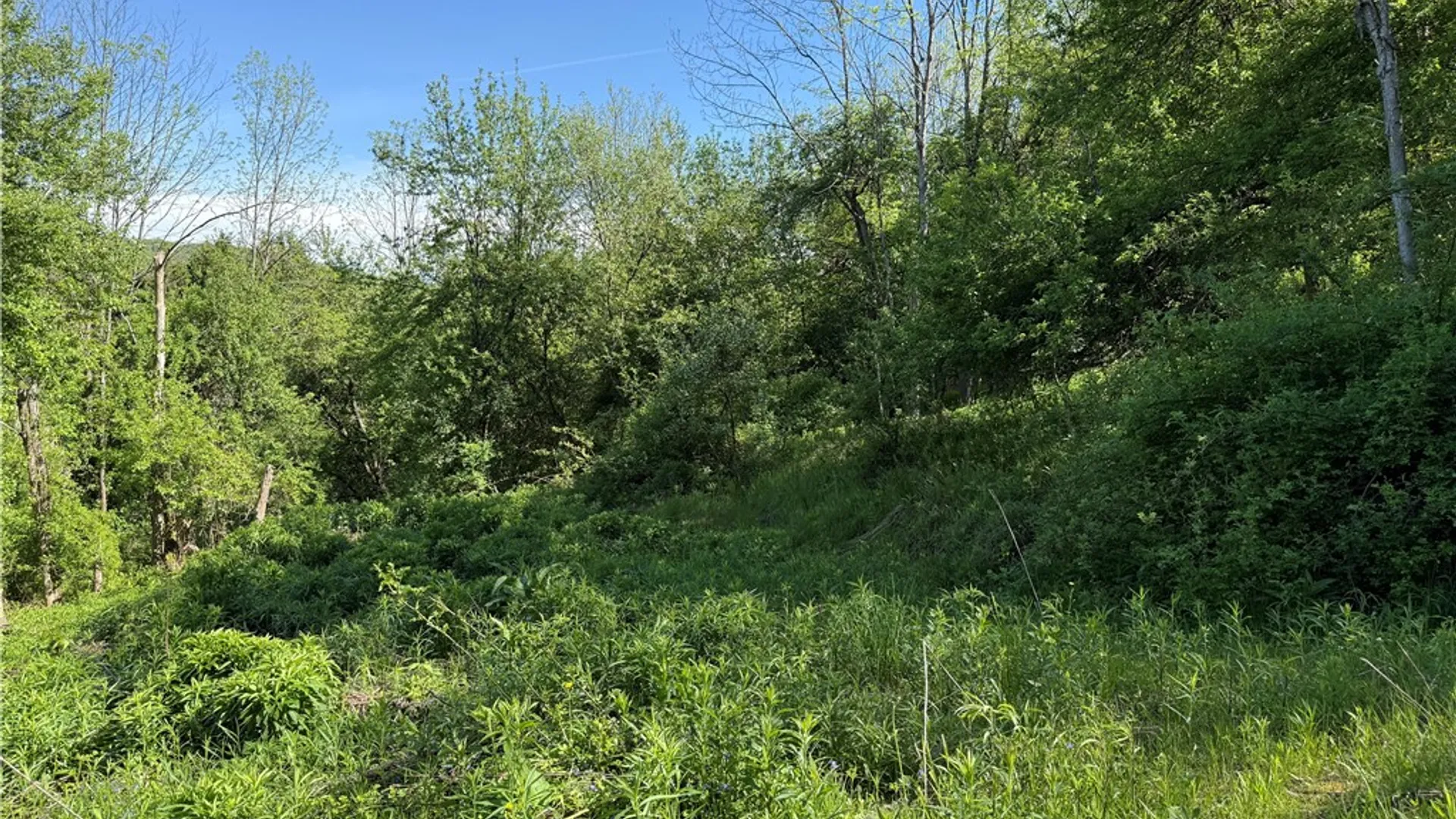 Property at 8082 Rt-242, Little Valley, NY 14755 12
