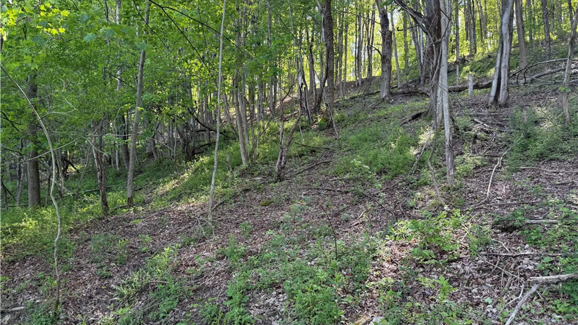 Property at 8082 Rt-242, Little Valley, NY 14755 15