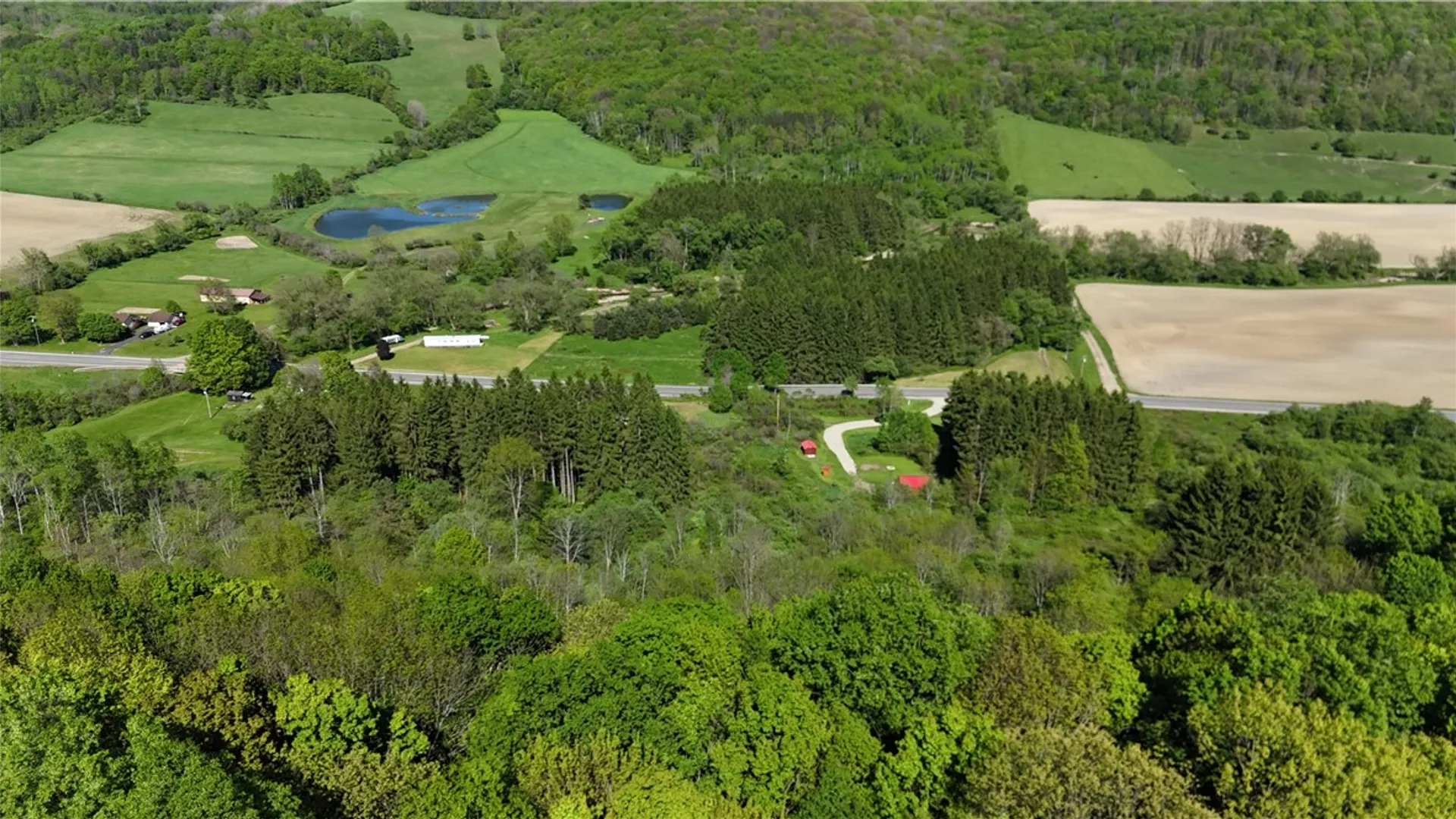 Property at 8082 Rt-242, Little Valley, NY 14755 20