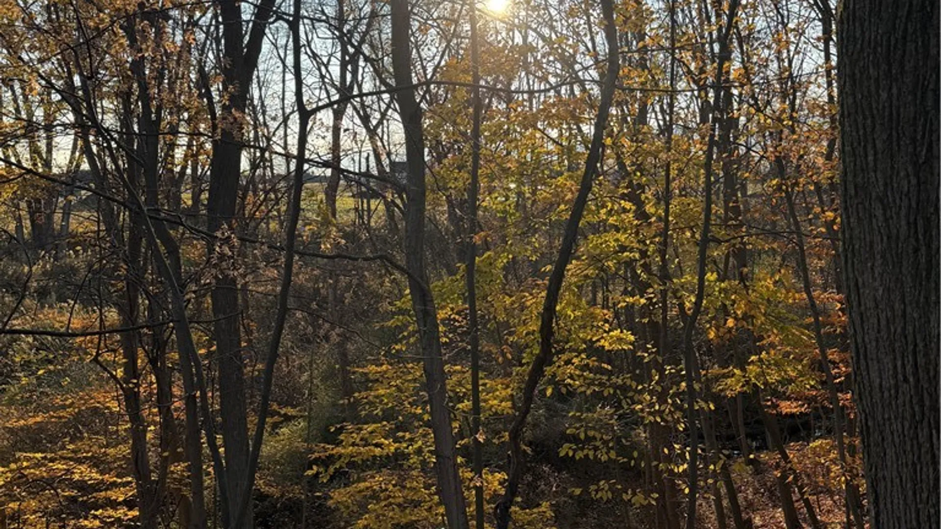 Property at 0 Turk Rd Extension, Geneva Town, NY 14456 17