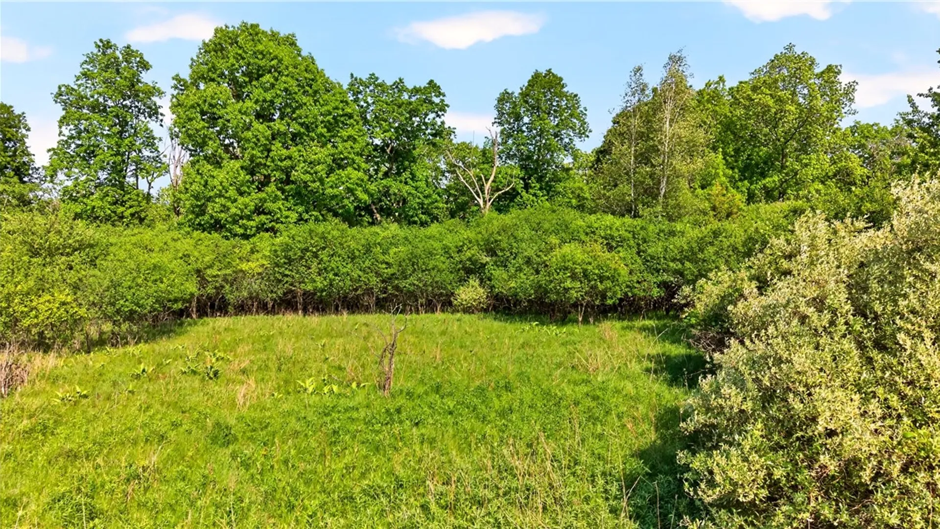 Property at 0 Turk Rd Extension, Geneva Town, NY 14456 26
